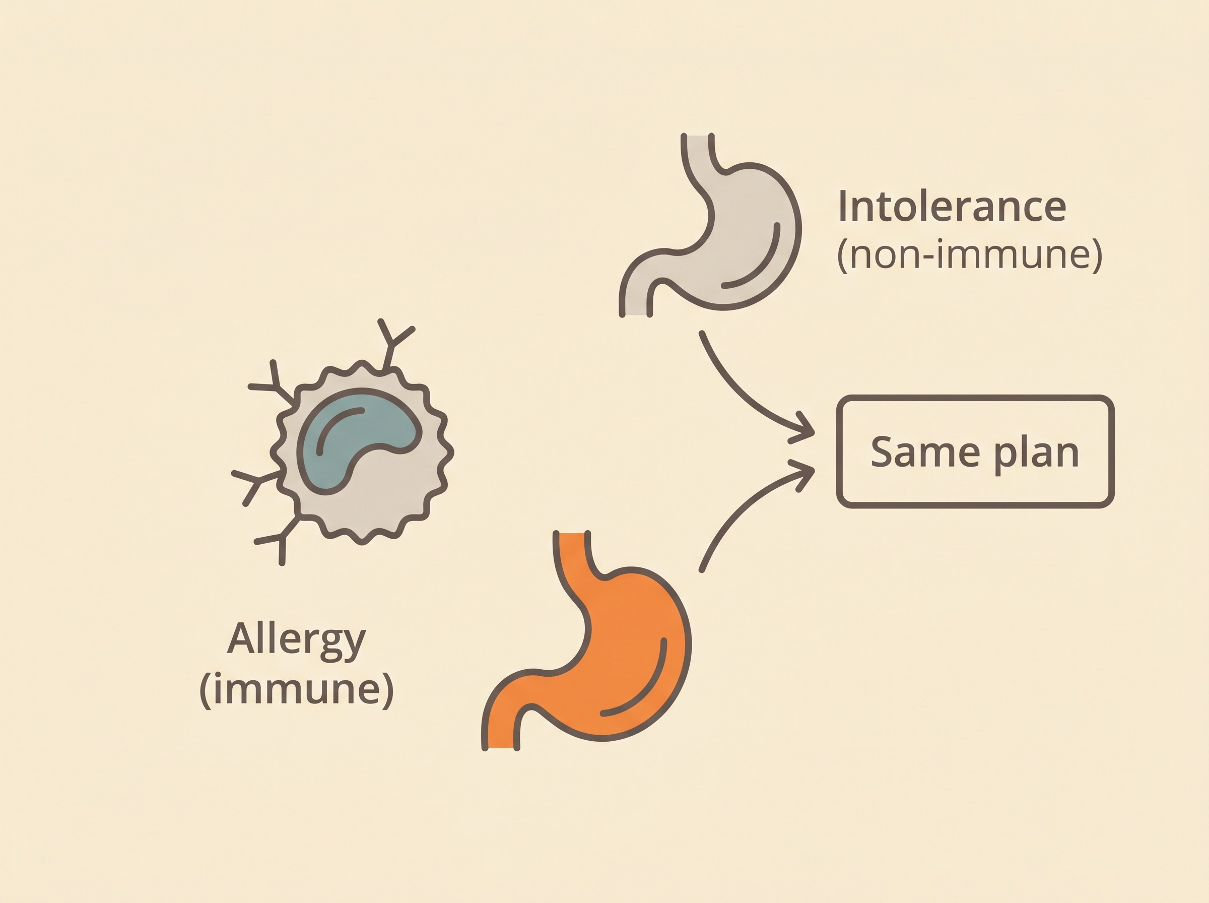 A simple split showing true food allergy as an immune reaction on one side and food intolerance as a non-immune digestive reaction on the other, both leading to the same plan