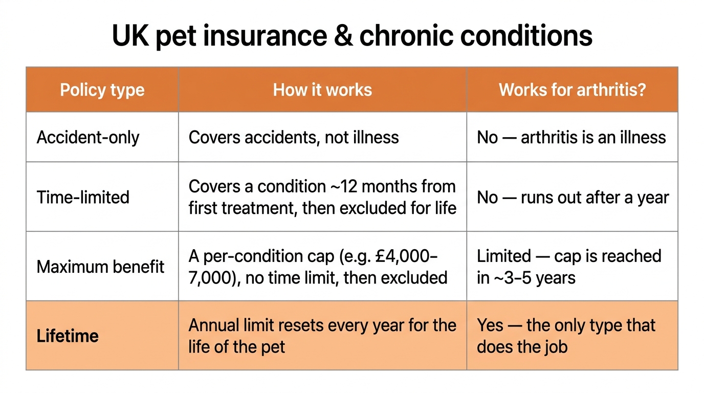 A comparison table of UK pet insurance types: accident-only, time-limited, maximum benefit and lifetime, with columns for how it works and whether it covers a chronic condition like arthritis, showing lifetime cover as the only type that works long-term