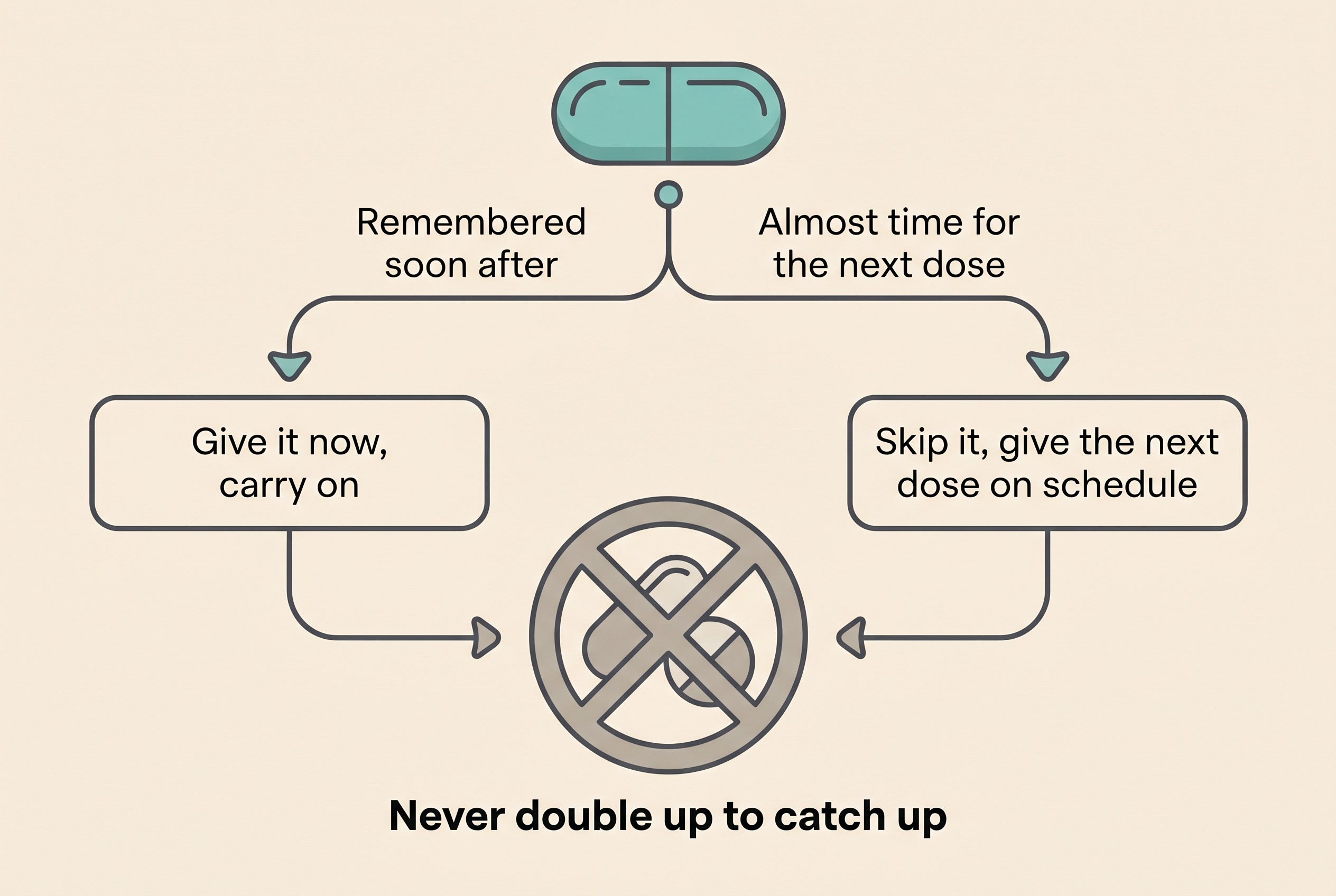 A simple decision-flow card on a cream background showing two branches from a pill icon: "Remembered soon after" leading to "Give it now, carry on", and "Almost time for the next dose" leading to "Skip it, give the next dose on schedule", with a crossed-out icon below reading "Never double up to catch up".