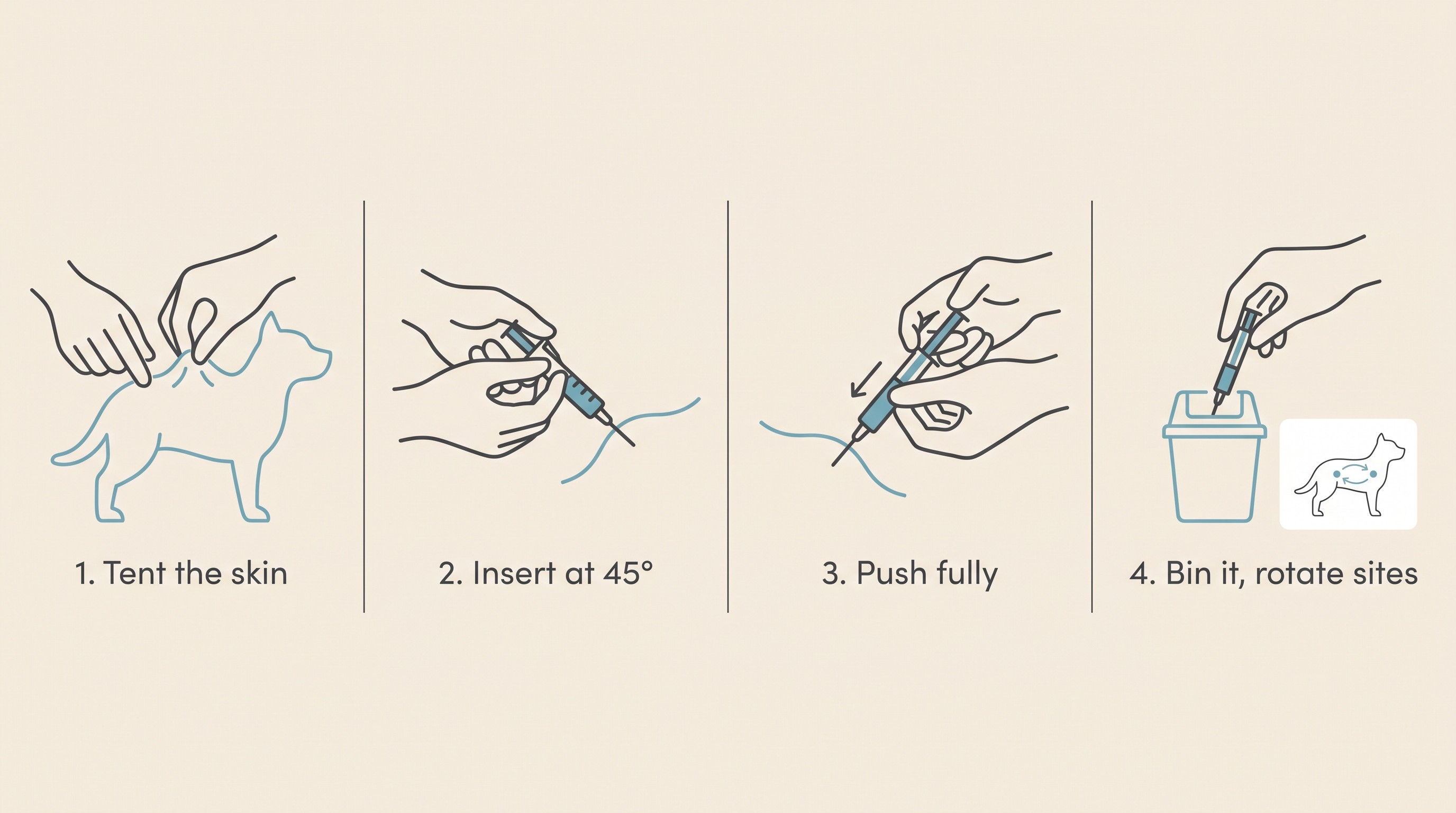 A four-step strip of the injection technique on cream. One: lift a tent of loose skin over the flank between thumb and two fingers. Two: insert the fine needle into the centre of the tent at about forty-five degrees. Three: push the plunger fully down. Four: withdraw and drop the syringe into a sharps bin, with an inset showing the site moved to the other side next time.