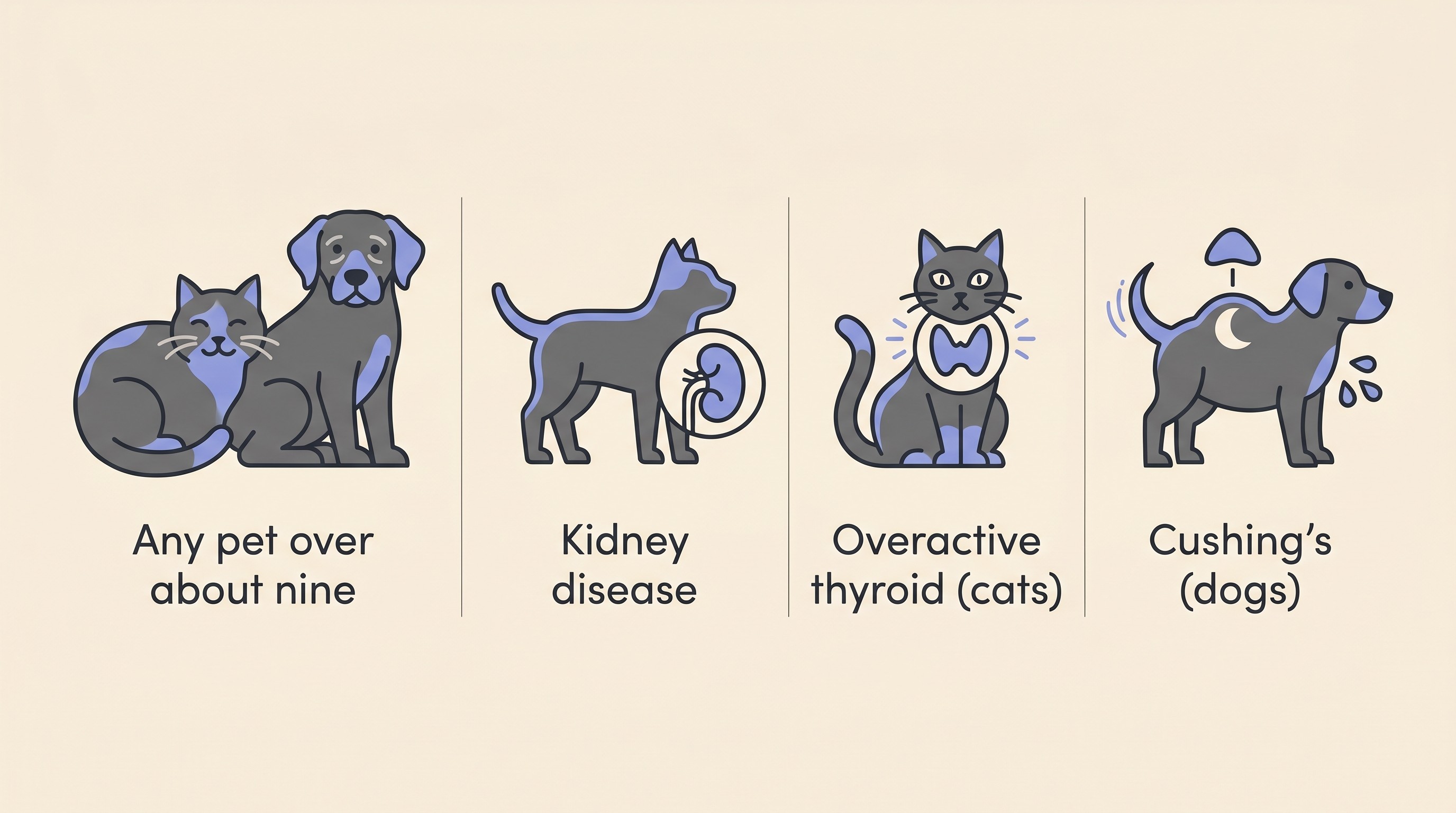 Panel showing the pets who should have a routine blood-pressure check: an older cat or dog, a pet with kidney disease, a cat with an overactive thyroid, and a dog with Cushing's