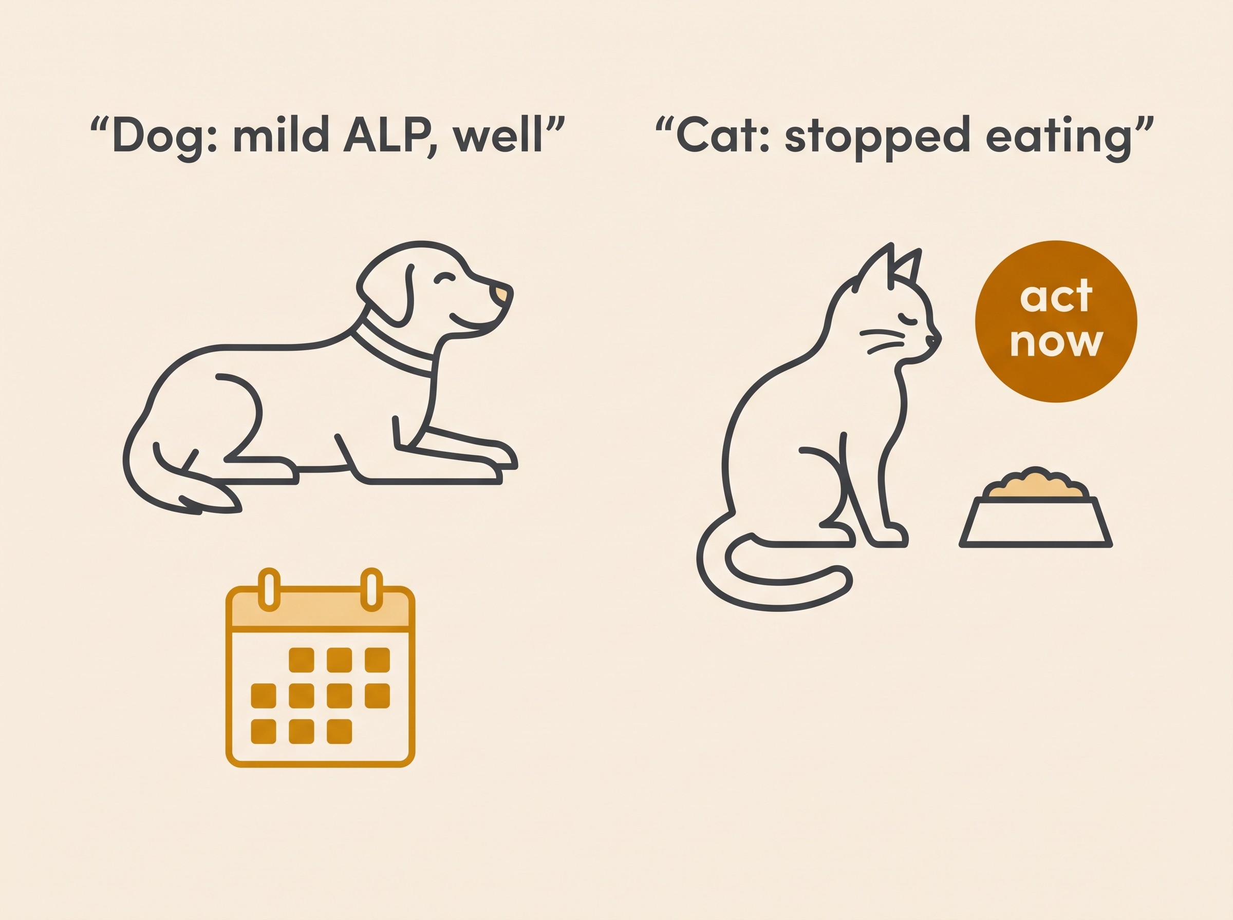 A flat-vector two-column contrast, dog side showing a well dog with mild ALP watch and recheck, cat side showing a cat off food with an act-now message and a gentle warm-gold jaundice cue, on cream with amber and a restrained coral accent only on the cat emergency callout