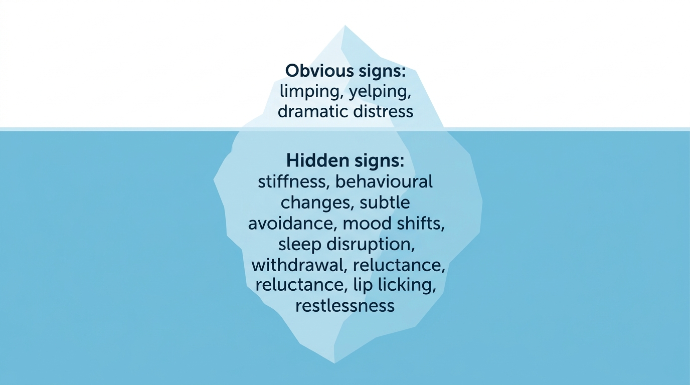 An iceberg infographic: a small tip above the water labelled with obvious signs like limping and yelping, and a much larger mass below labelled with hidden signs like stiffness, withdrawal and sleep disruption, cool blue palette