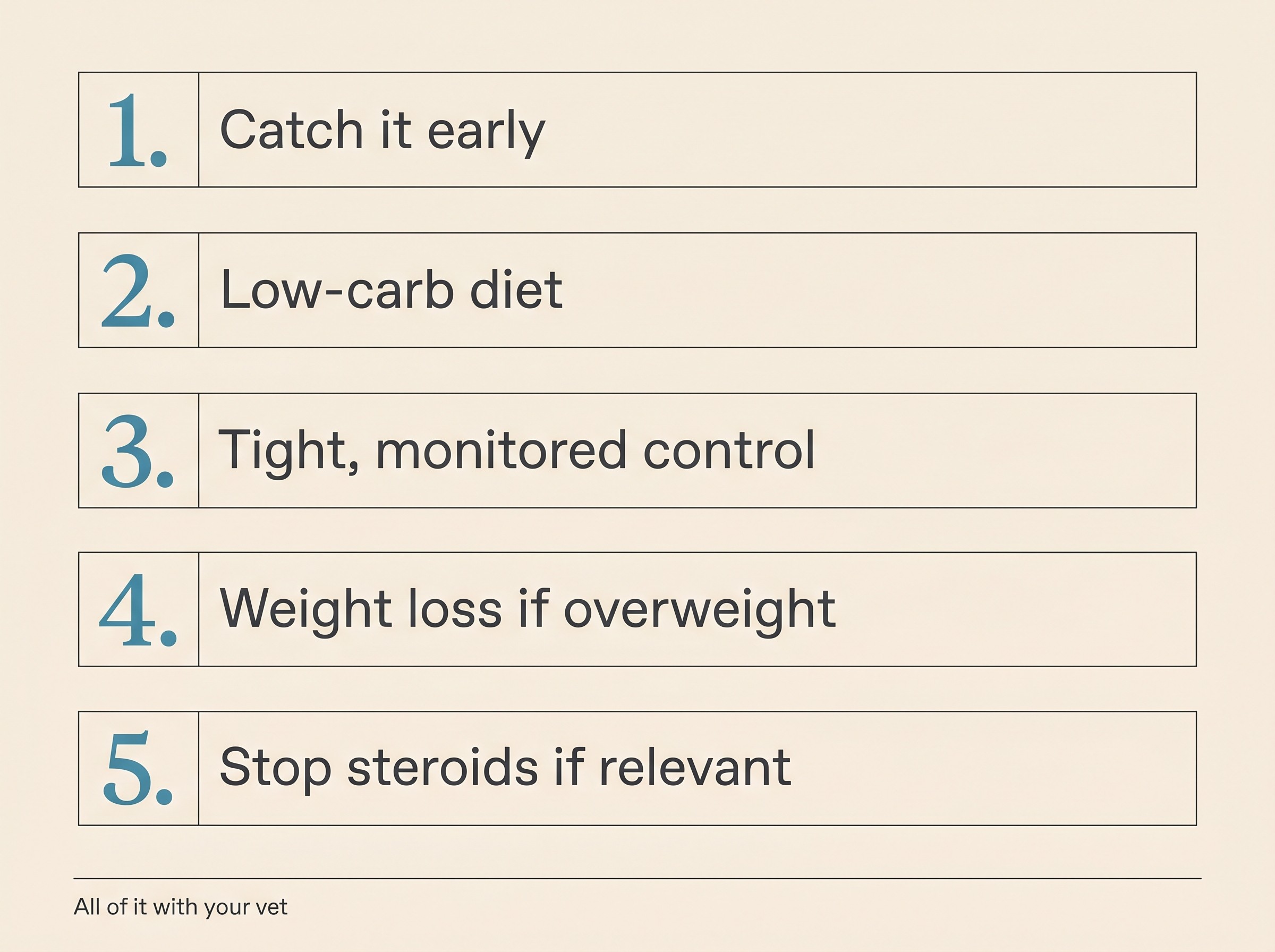 A cream panel listing the five numbered levers of the feline diabetes remission playbook with a footer reading all of it with your vet