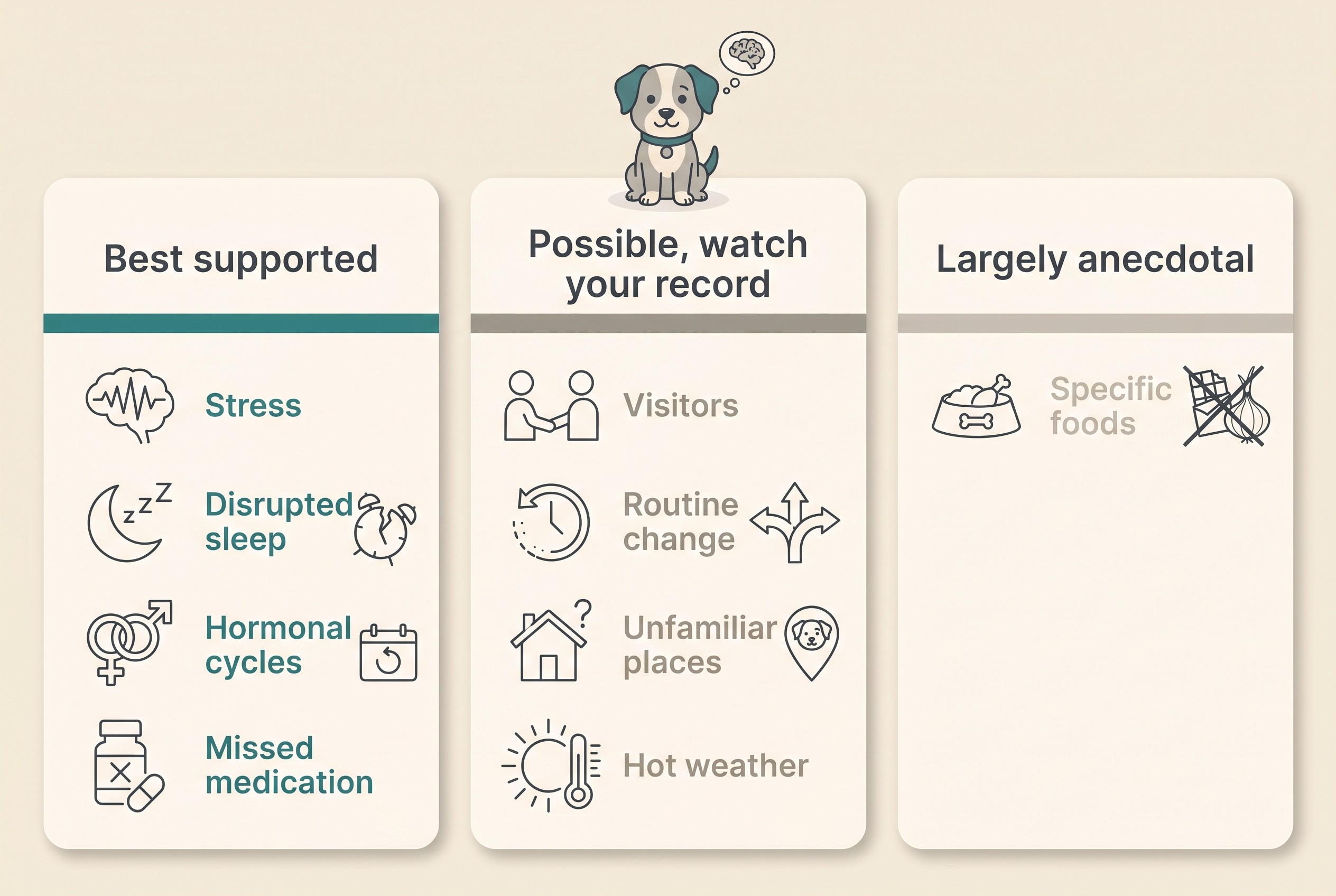 A clean flat infographic on a cream background sorting canine seizure triggers into three labelled columns: "Best supported" listing stress, disrupted sleep, hormonal cycles and missed medication; "Possible, watch your record" listing visitors, routine change, unfamiliar places and hot weather; and "Largely anecdotal" listing specific foods. Simple line icons beside each entry.