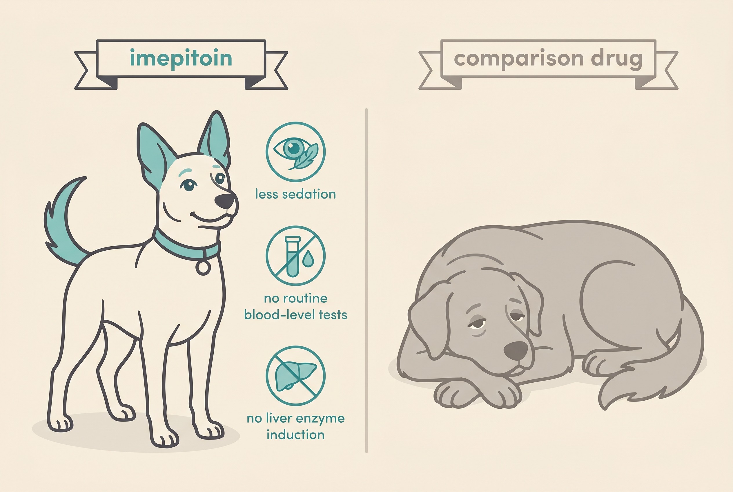 A flat illustration on a cream background contrasting a dog on imepitoin standing alert and bright-eyed beside a drowsier, panting dog, with small calm icons labelled "less sedation", "no routine blood-level tests" and "no liver enzyme induction"