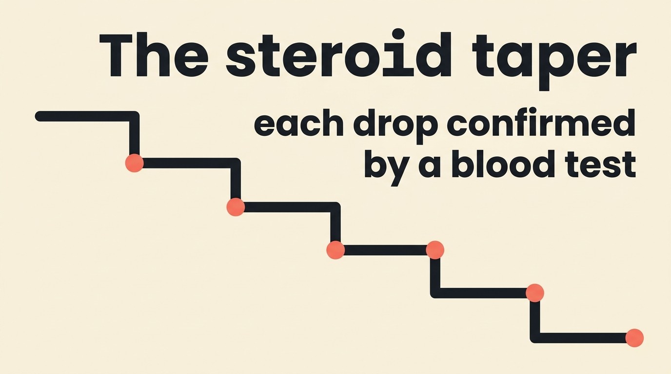 A line stepping gradually downward over several months, marked with recheck points where a blood sample confirms it is safe to drop the dose again.