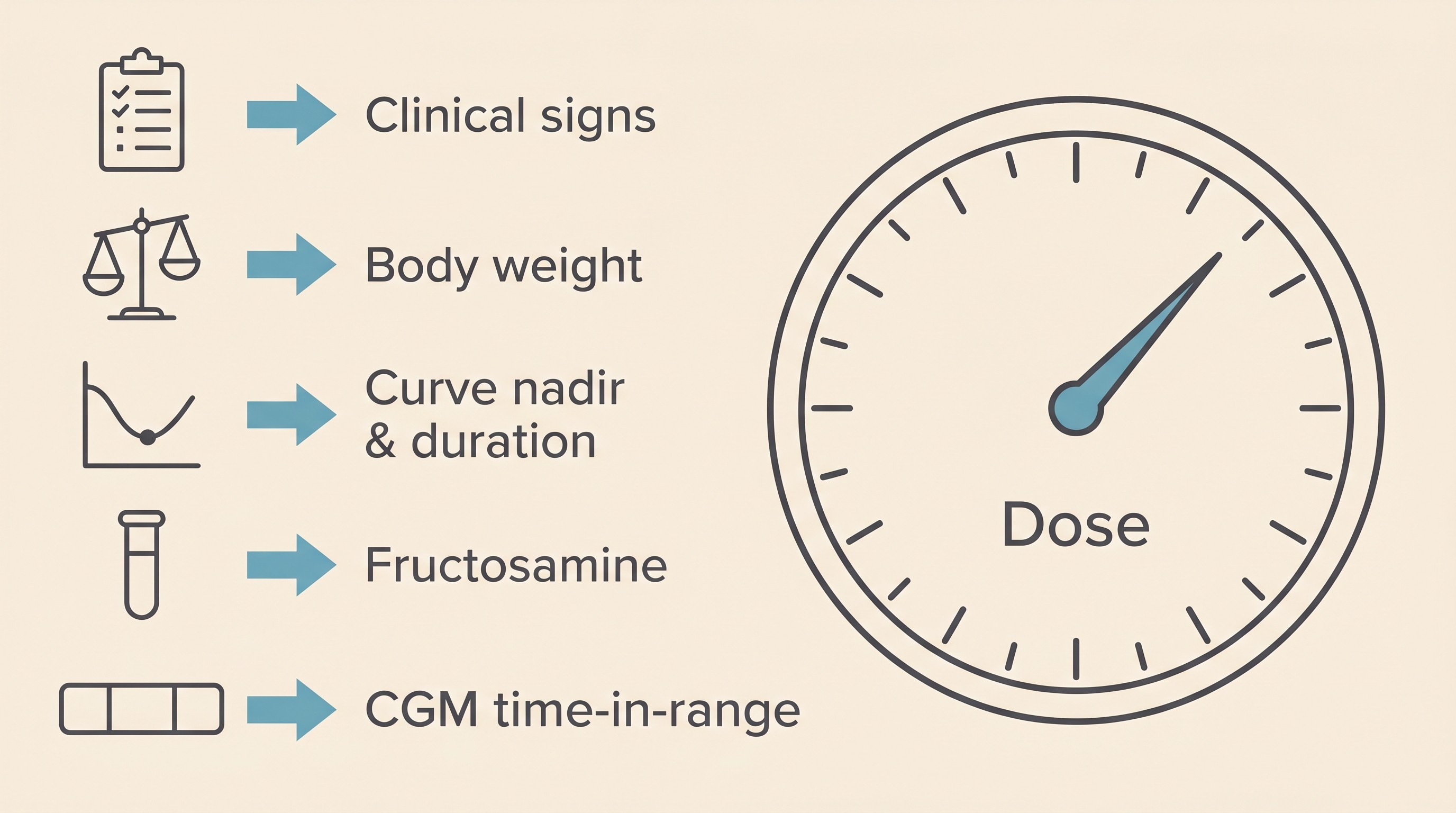 Panel on cream: five inputs (clinical signs, body weight, curve nadir and duration, fructosamine, CGM time-in-range) arrowed into one dial marked dose