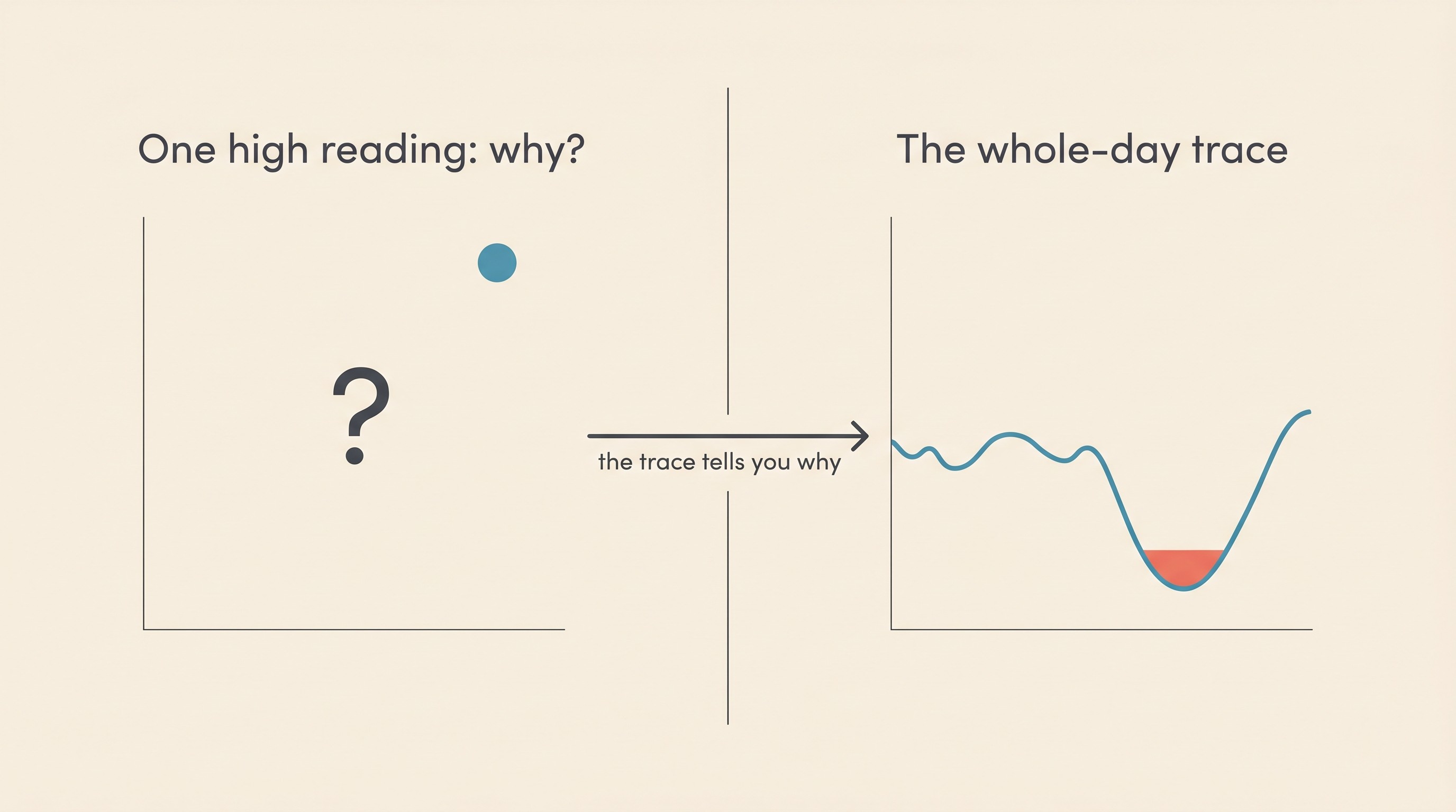 A calm two-panel card on cream: on the left a single high spot reading with a question mark; on the right a full day's glucose trace revealing an unseen overnight dip, joined by an arrow labelled "the trace tells you why"