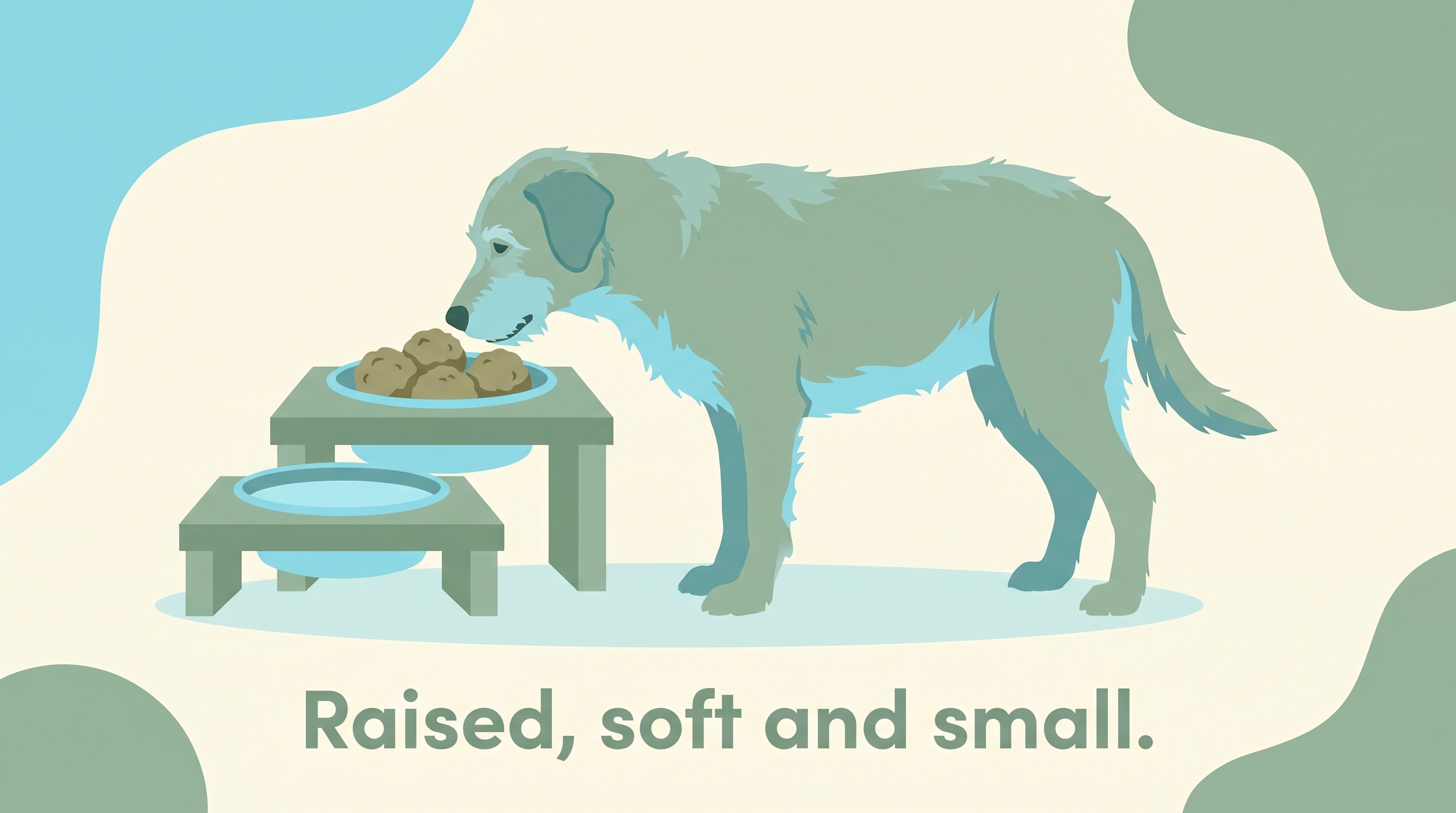 A large older dog eating soft food shaped into meatballs from a raised bowl stand, in a warm flat-vector style on a cream background