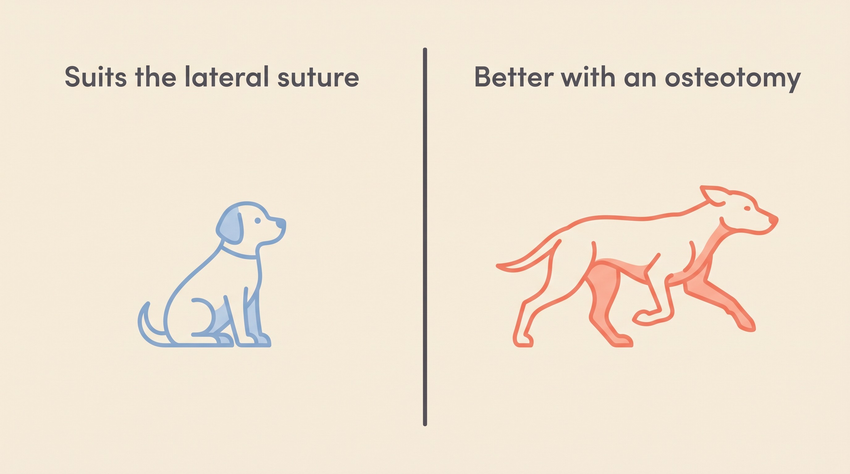 Card contrasting the dogs the lateral suture suits versus those better served by an osteotomy