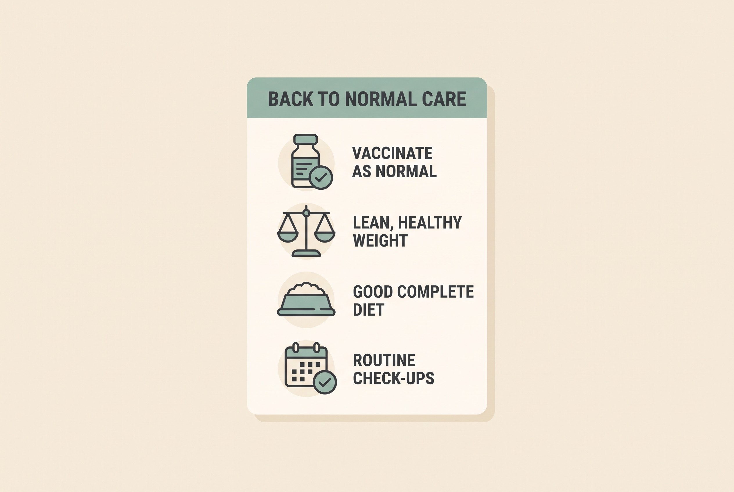Flat vector card on cream background in sage-teal, four calm icon rows under the heading "BACK TO NORMAL CARE": a vaccine vial with a tick labelled "VACCINATE AS NORMAL", a balanced scale labelled "LEAN, HEALTHY WEIGHT", a food bowl labelled "GOOD COMPLETE DIET", and a calendar with a tick labelled "ROUTINE CHECK-UPS"