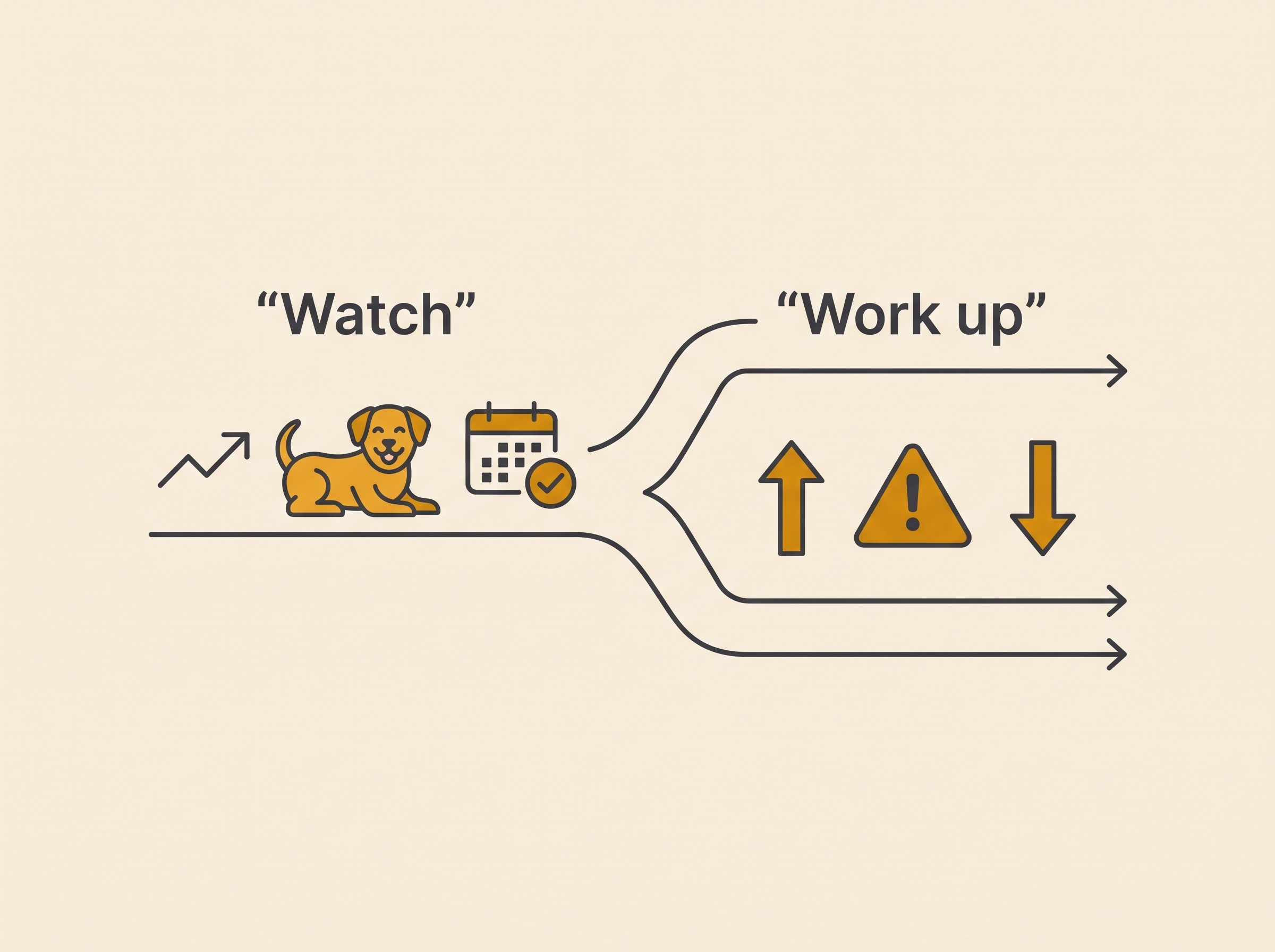 A simple decision-fork card, watch on one side mild plus well plus no symptoms recheck, work up on the other side high or rising or any symptom or falling function, cream background amber and charcoal, no alarming colours