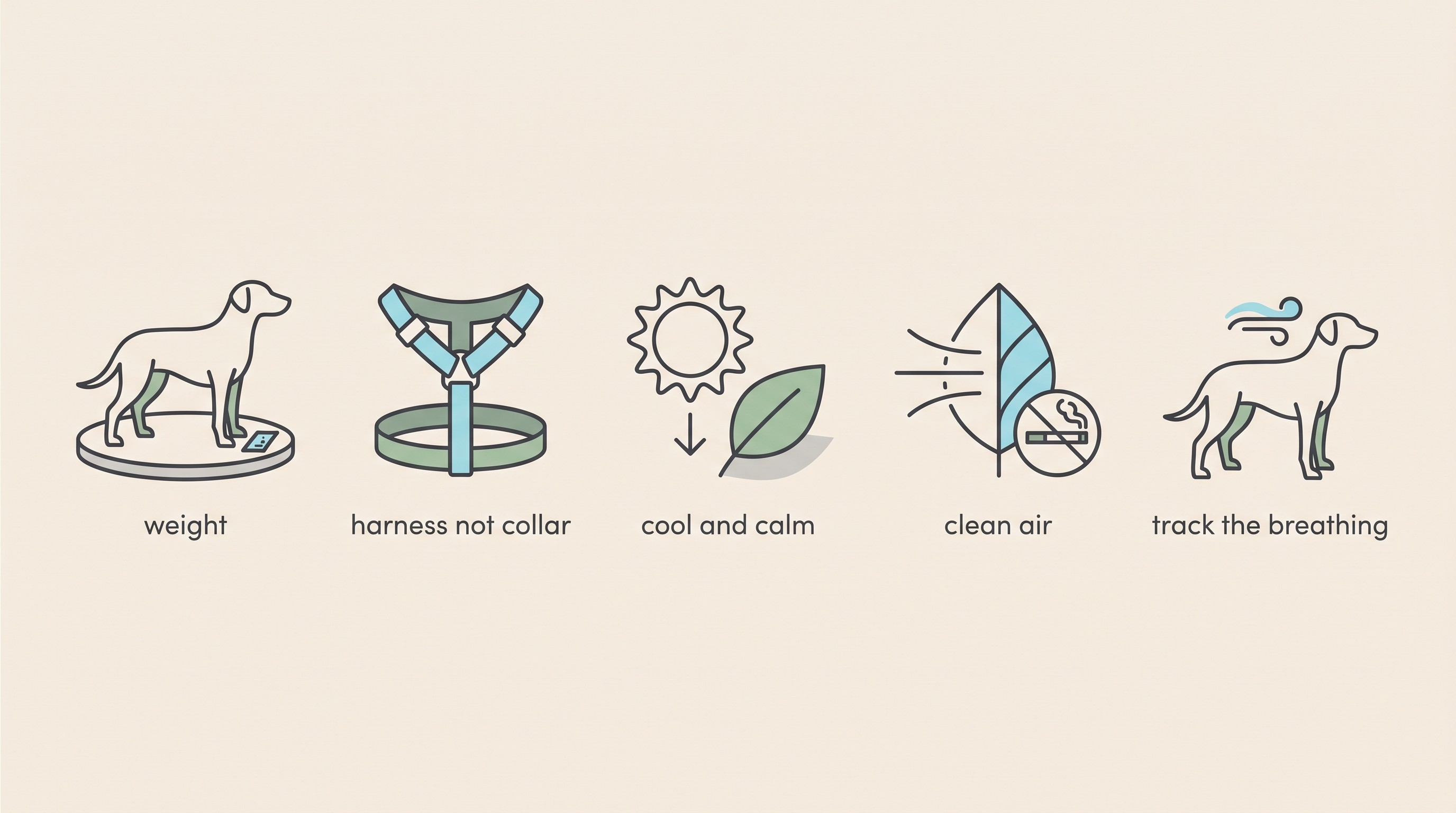 Five flat icons in a row on a cream background labelled “weight”, “harness not collar”, “cool and calm”, “clean air” and “track the breathing”, the five daily levers