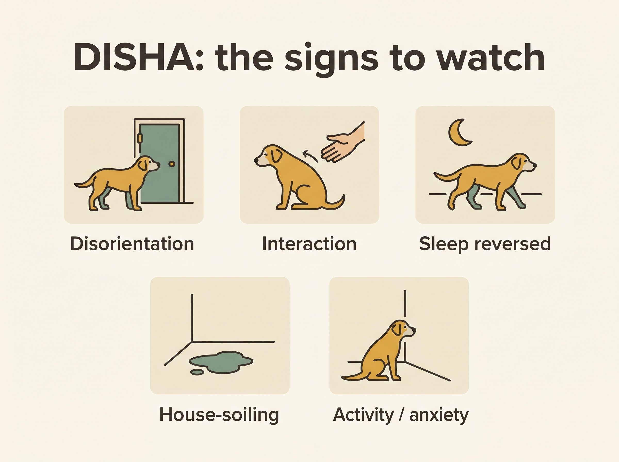 A calm flat-vector panel titled "DISHA: the signs to watch", with five gentle tiles for an older dog: Disorientation (a dog facing the hinge side of a door), Interaction changes (a dog turning from an outstretched hand), Sleep reversed (a moon with a pacing dog), House-soiling (a small indoor puddle), and Activity and anxiety (a dog staring at a wall). Oat-cream field, sage-green and honey-gold accents, warm-slate labels.