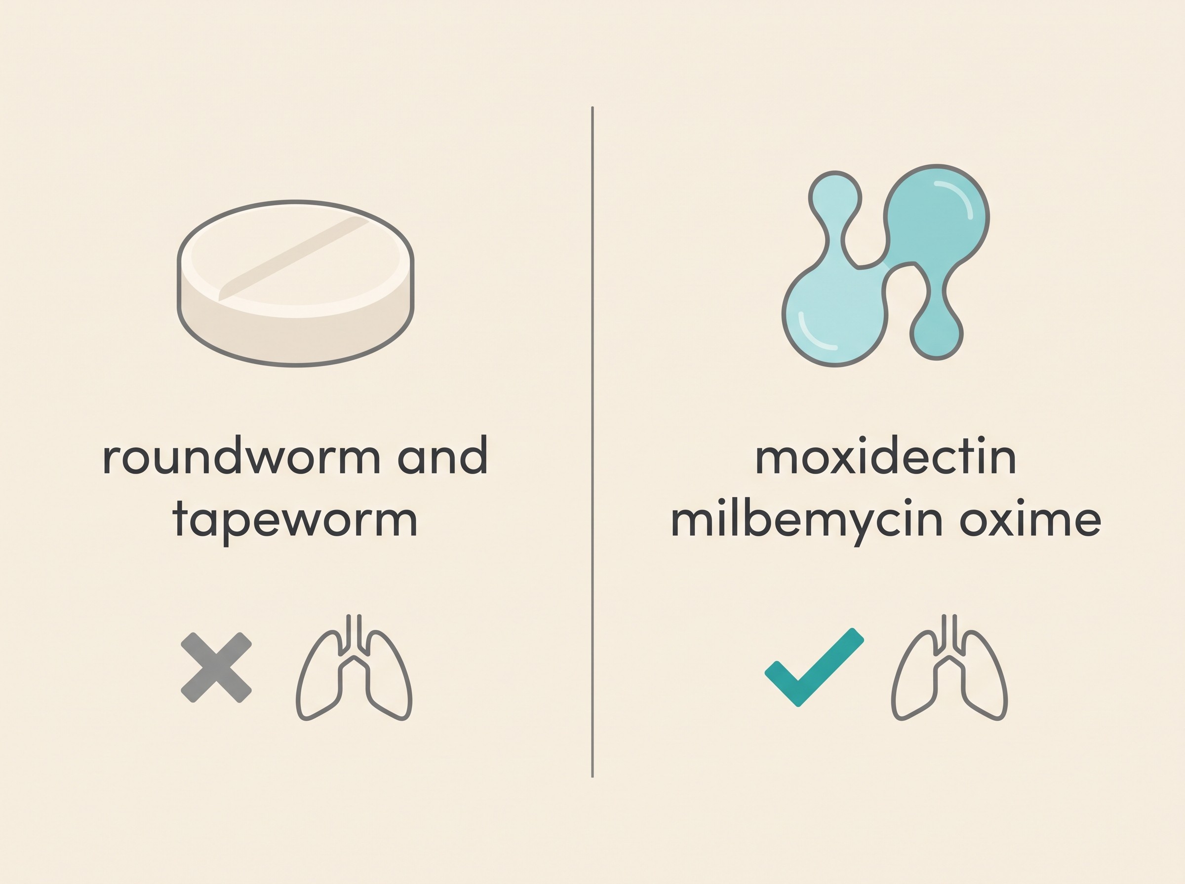 A flat-vector comparison panel on a cream background, two worming products side by side labelled by active ingredient not brand: a generic "roundworm and tapeworm" tablet marked as not covering lungworm, and a moxidectin or milbemycin product marked as covering lungworm