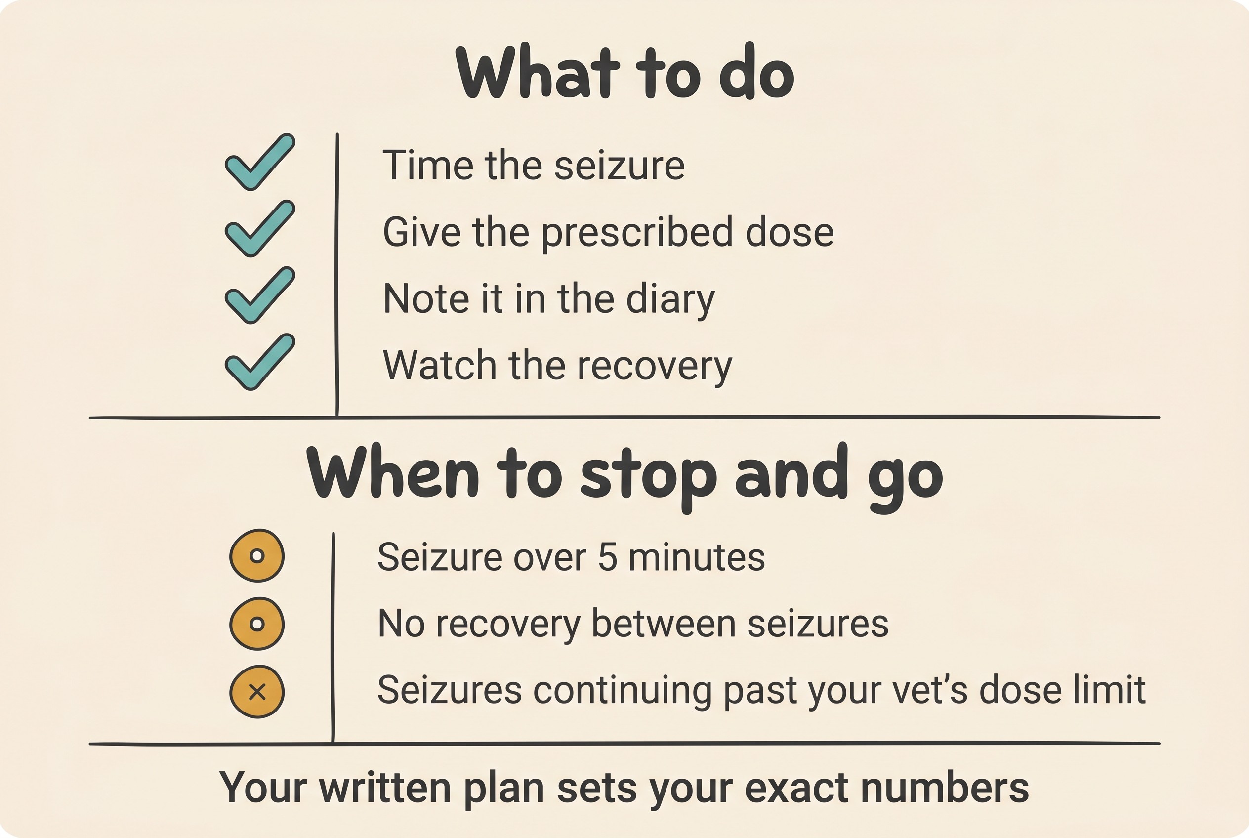 A two-row checklist on a soft background. Top row "What to do": time the seizure, give the prescribed dose, note it in the diary, watch the recovery. Bottom row "When to stop and go": seizure over 5 minutes, no recovery between seizures, seizures continuing past your vet's dose limit. Footer reads "Your written plan sets your exact numbers"