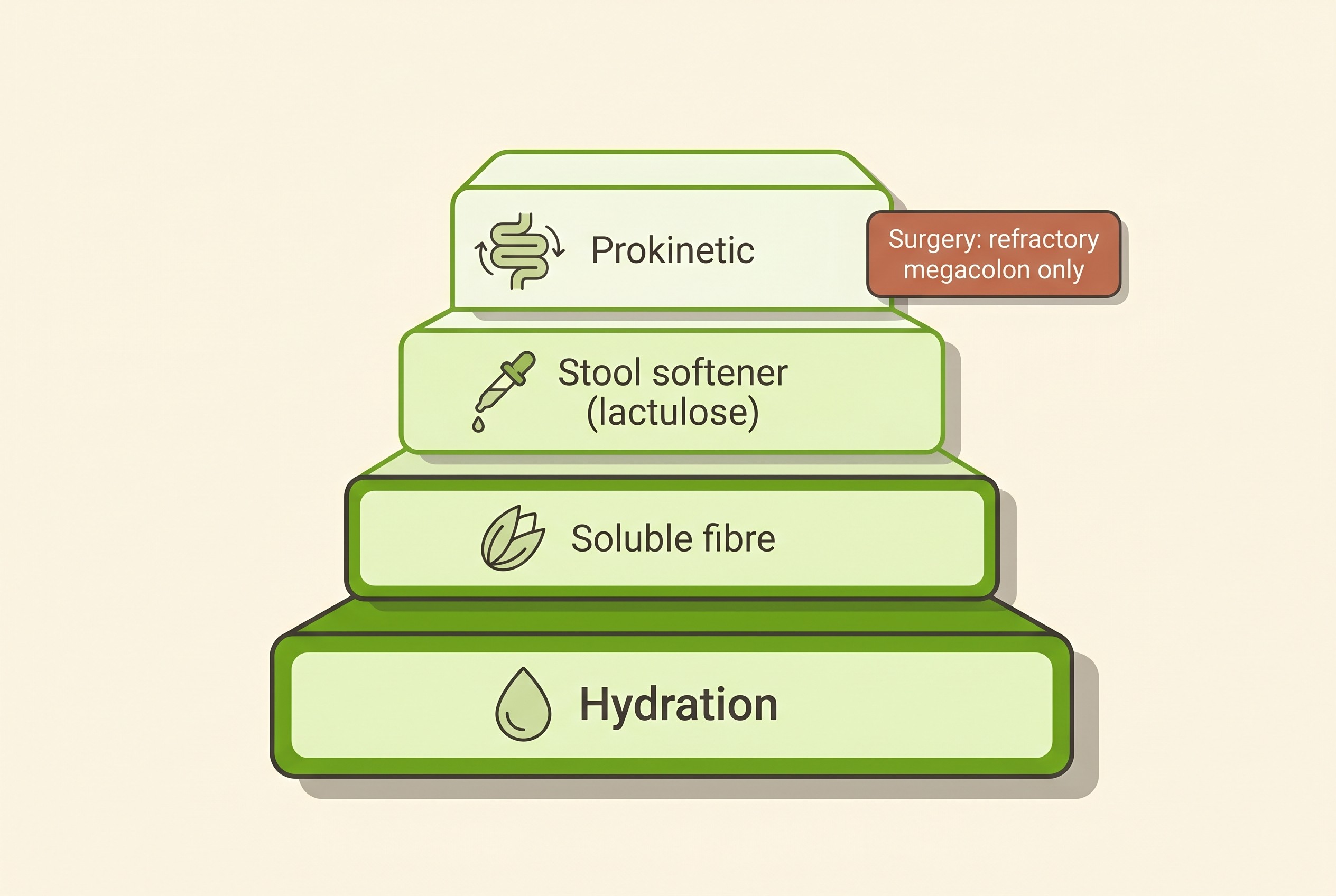 A stepped plan on cream showing four ascending tiers labelled "Hydration", "Soluble fibre", "Stool softener (lactulose)" and "Prokinetic", with a side note reading "Surgery: refractory megacolon only"