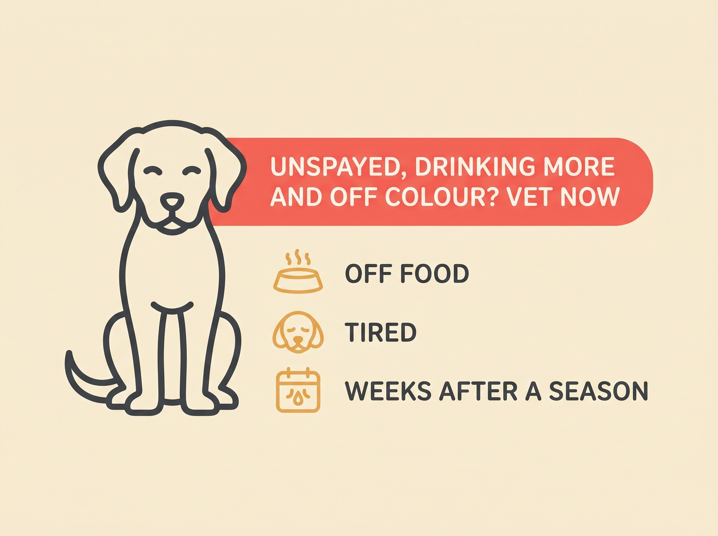 A caution card: an unspayed female dog, an emergency strip, and the vague warning signs
