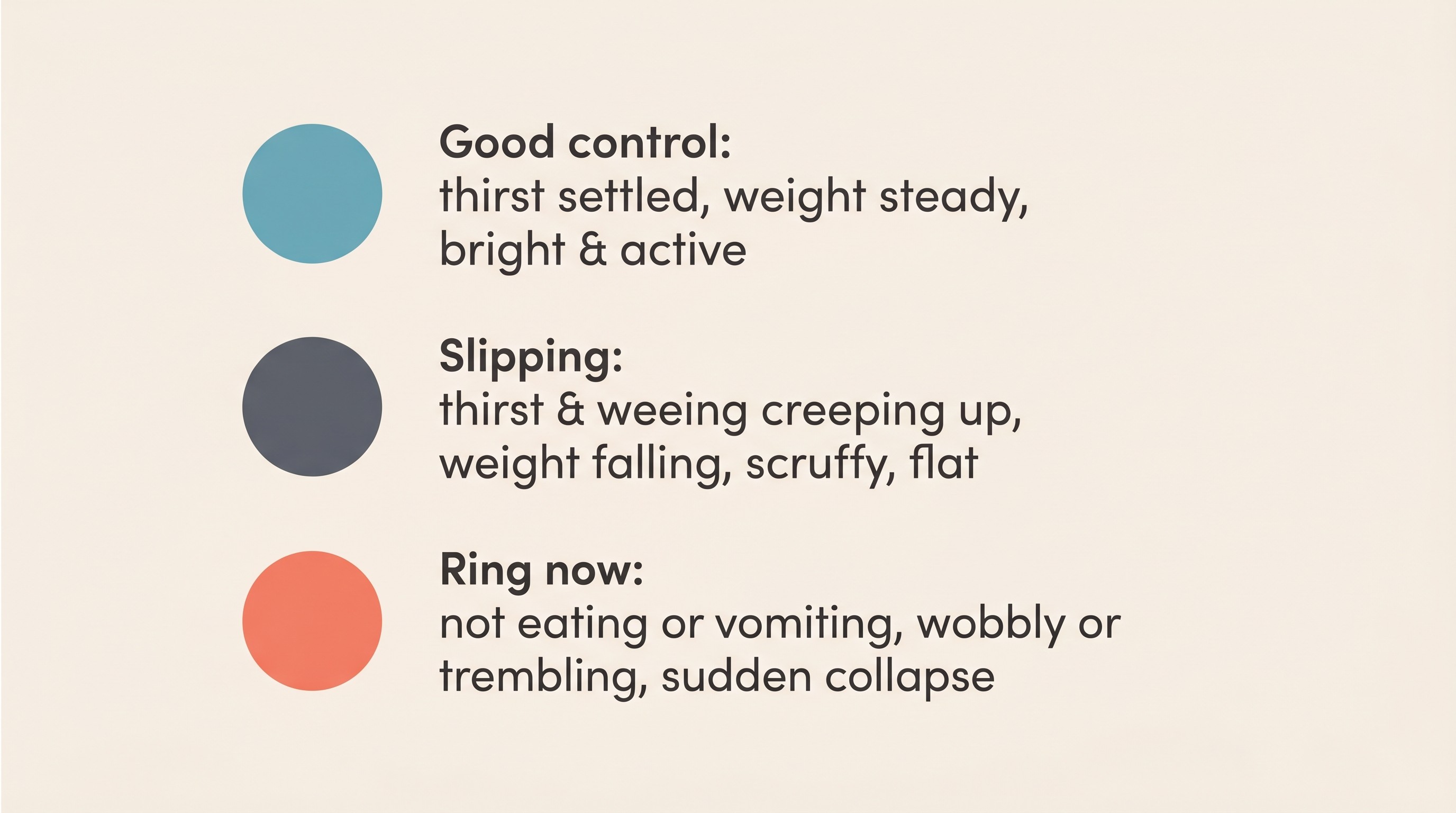 A traffic-light card on cream contrasting "Good control" (green: thirst settled, weight steady, bright and active), "Slipping" (amber: thirst and weeing creeping up, weight falling, scruffy, flat) and "Ring now" (red: not eating or vomiting, wobbly or trembling, sudden collapse)