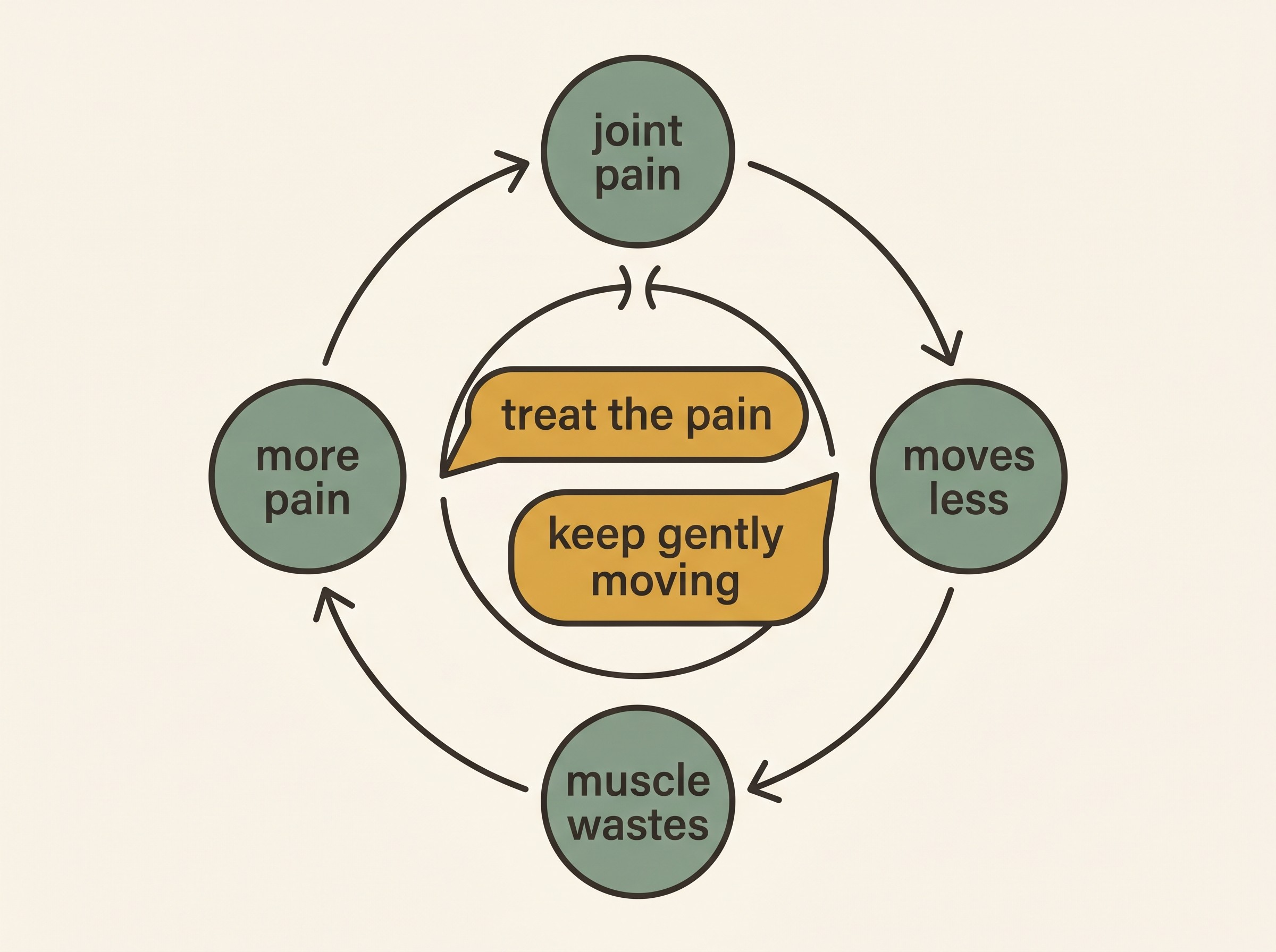 A simple circular diagram showing the muscle-loss spiral as a loop of four linked stages: "joint pain", "moves less", "muscle wastes", "joints less supported, more pain", with the arrow returning to the start. A break in the loop is labelled with two interventions: "treat the pain" and "keep gently moving".