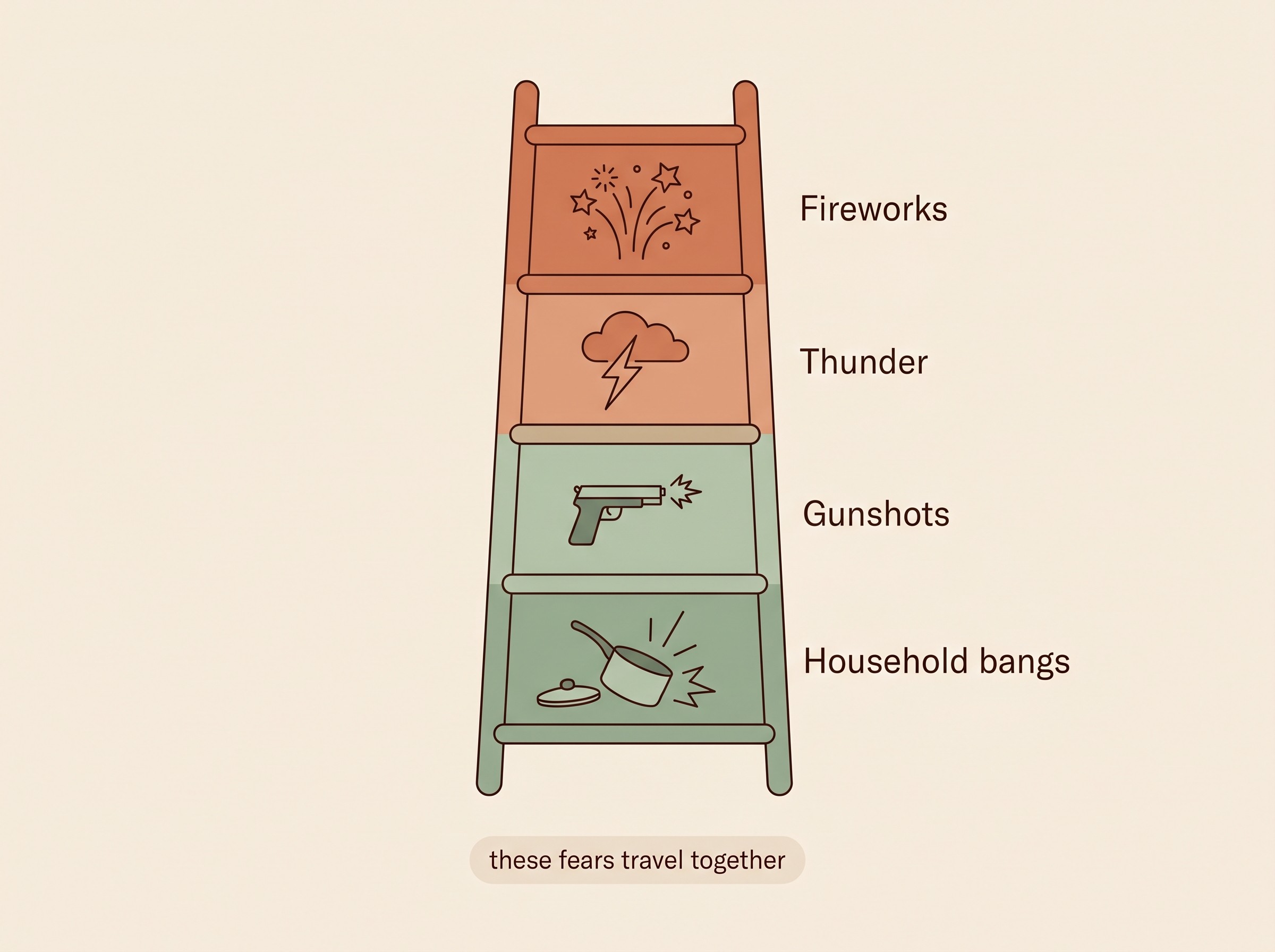 A simple ranking of common noise triggers for dogs and cats, from fireworks down to household bangs