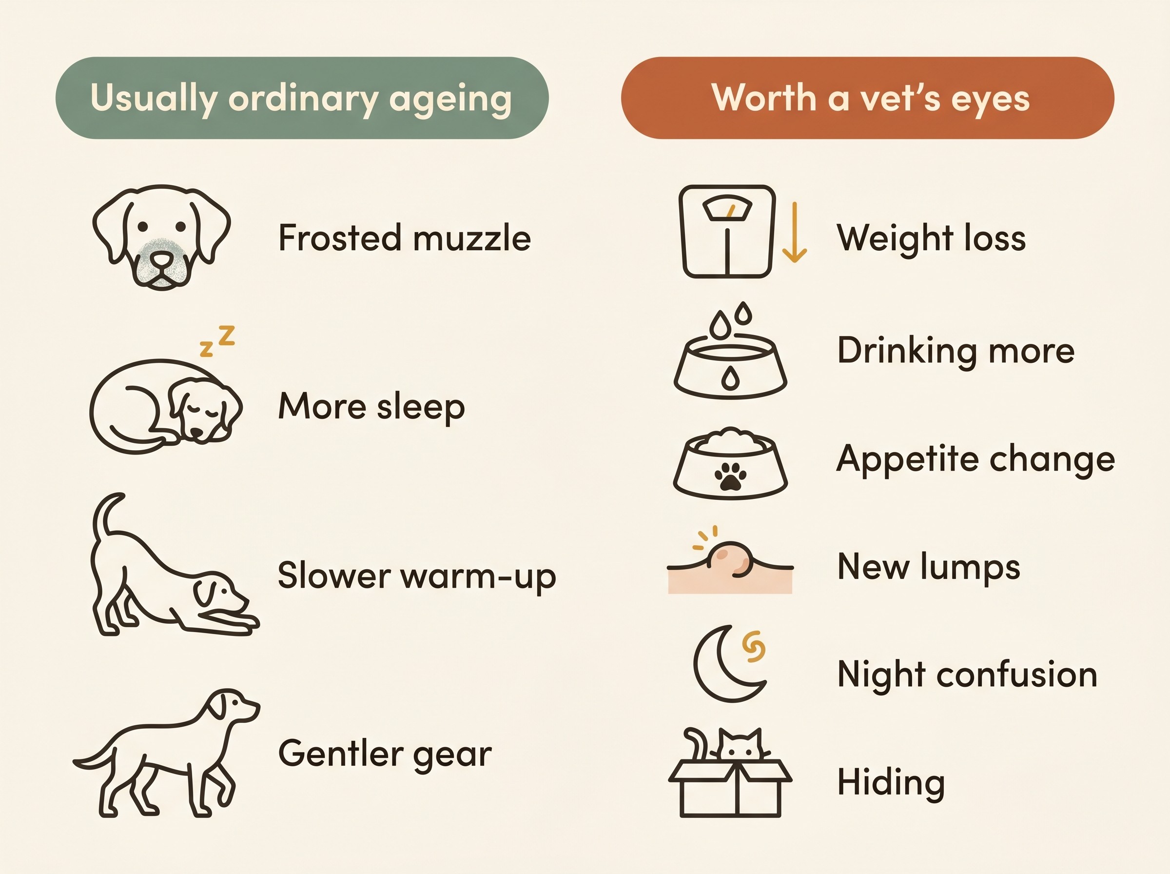 A two-column panel headed "Usually ordinary ageing" and "Worth a vet's eyes", listing on the left a frosted muzzle, a little more sleep, a slower warm-up and a gentler gear, and on the right weight loss, drinking more, appetite change, new lumps, night confusion and hiding.