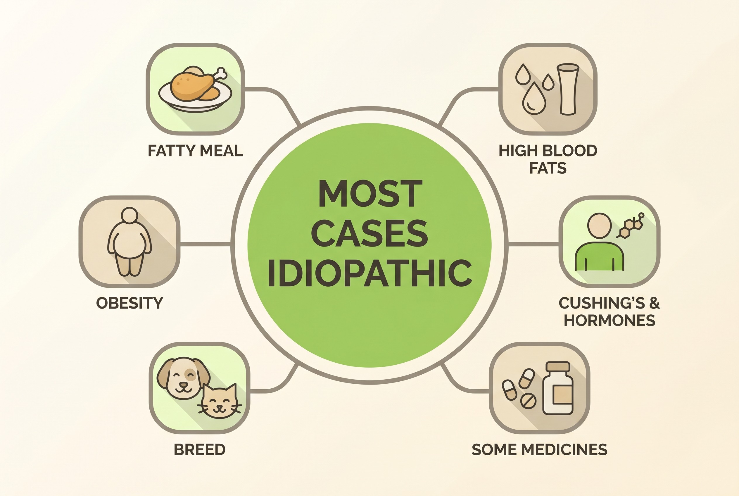 The many causes and risk factors of pancreatitis, with most cases idiopathic