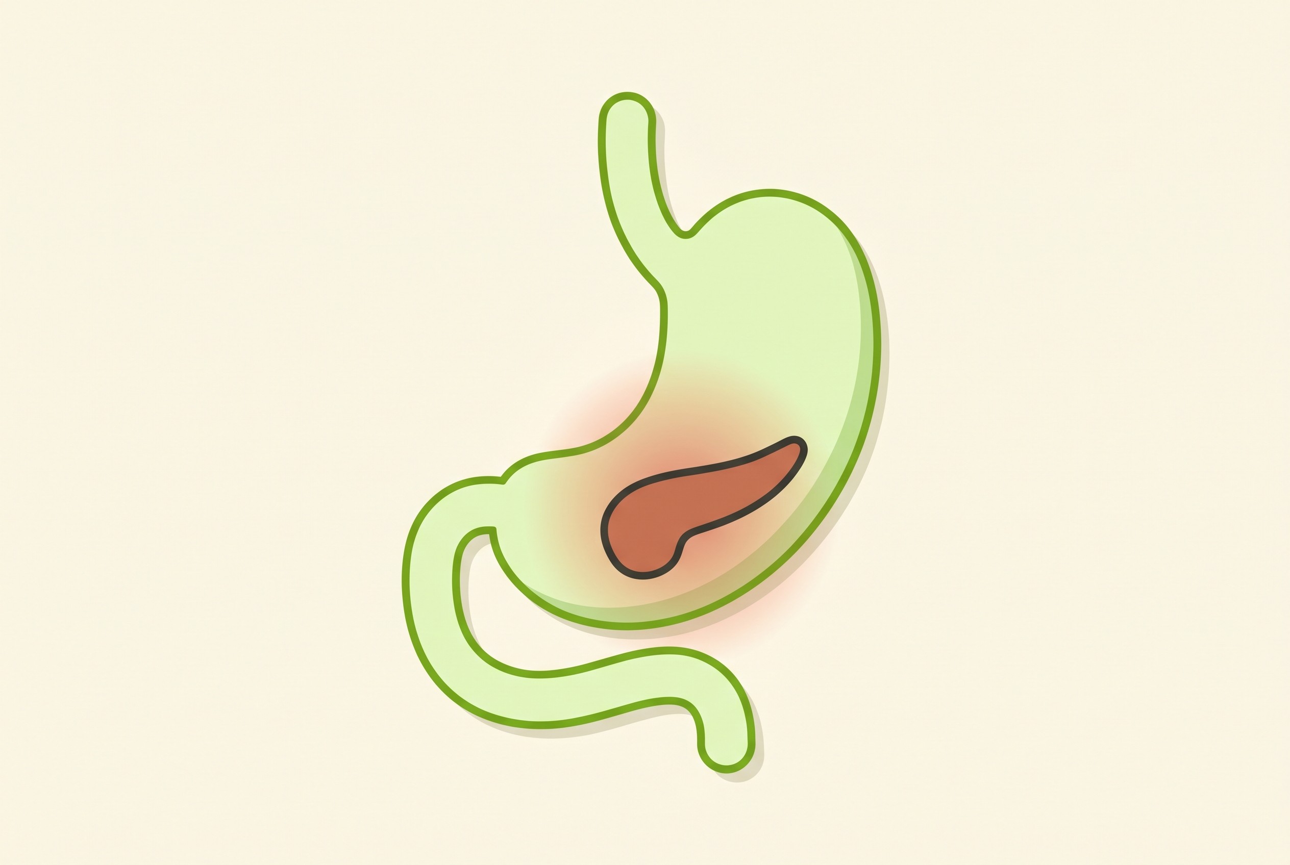 A simple, stylised illustration of the inflamed pancreas