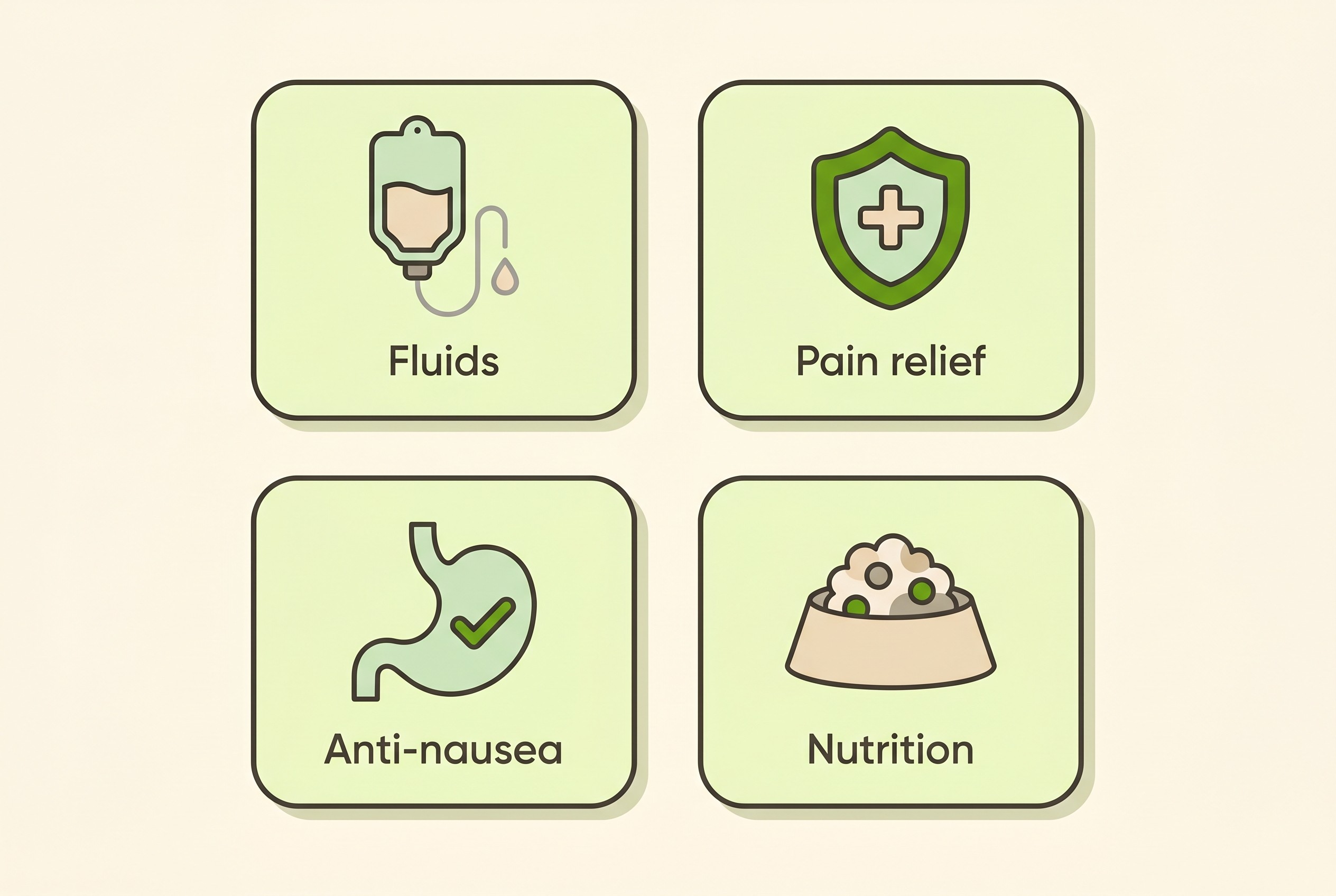 The four pillars of treating a pancreatitis flare shown as simple icons