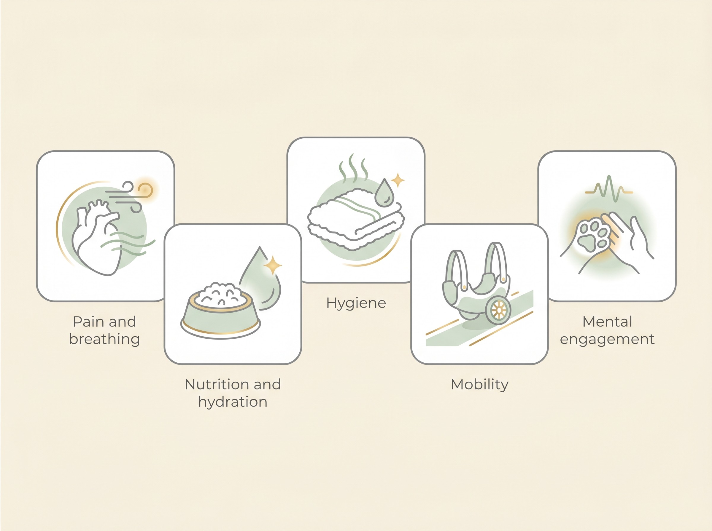 The five comfort domains of pet hospice: pain and breathing, nutrition and hydration, hygiene, mobility, and mental engagement