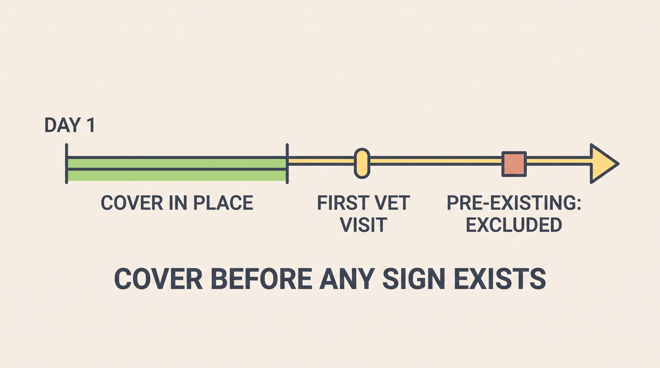 A simple timeline showing insurance in place before the first vet visit, with a note that anything found after has cover, versus a gap where a later-found condition is excluded, on cream