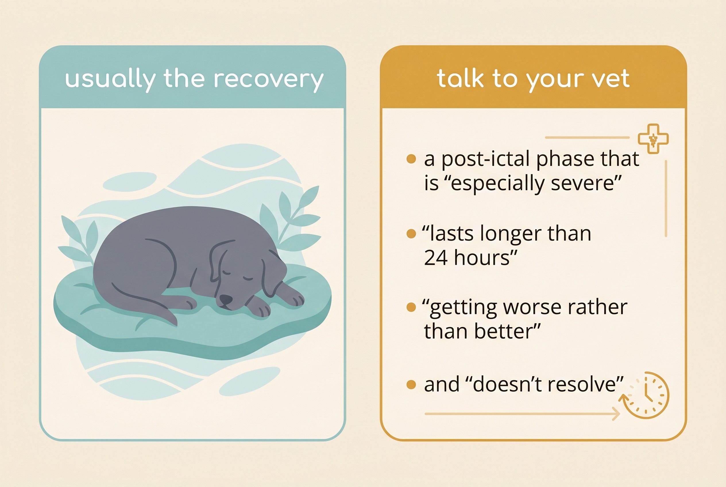 A clean flat infographic on cream contrasting a normal recovering dog under a heading 'usually the recovery' with a separate panel headed 'talk to your vet' listing a post-ictal phase that is especially severe, lasts longer than 24 hours, is getting worse, or does not resolve