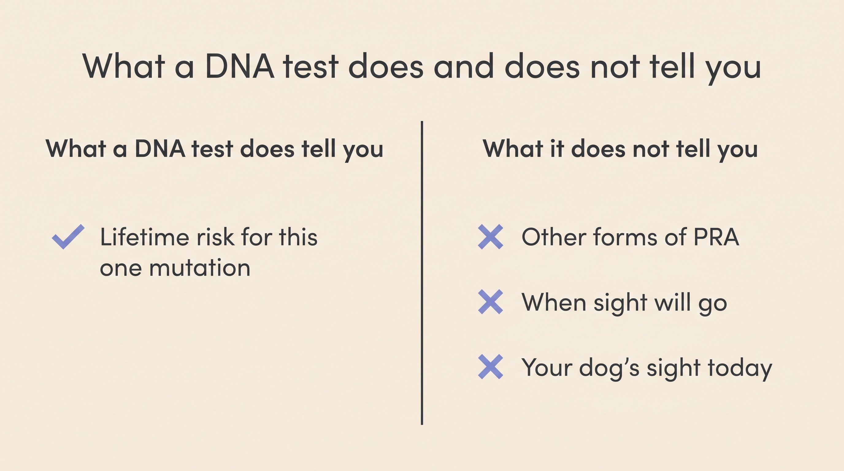 Two-column panel headed what a DNA test does and does not tell you, listing on one side lifetime risk for this one mutation and on the other other forms of PRA, when sight will go, and your dog's sight today