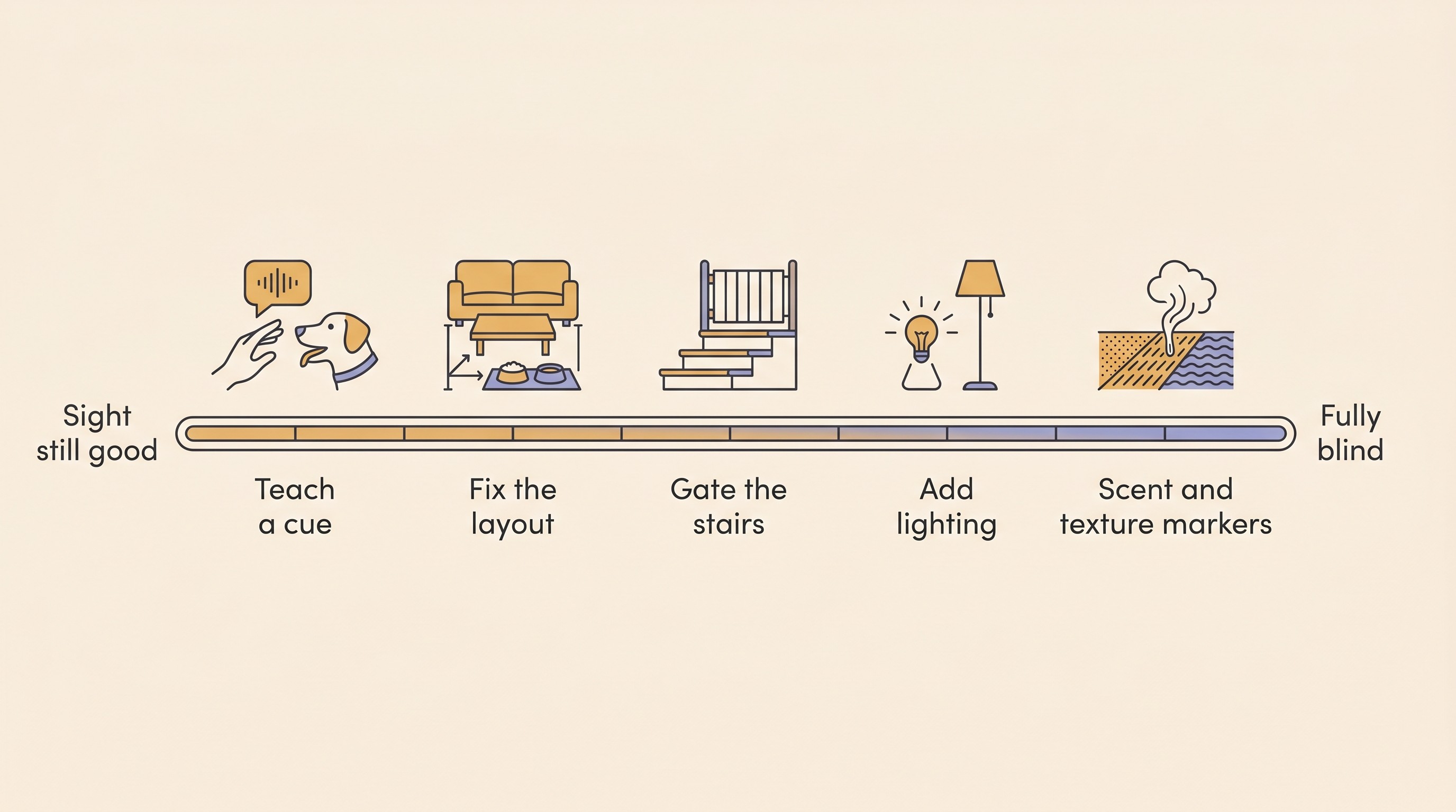 A simple cream timeline running from a labelled point reading sight still good through to a point reading fully blind, with five small flat icons spaced along the way: teaching a verbal cue, fixing the furniture and bowls, gating the stairs, adding lighting, and a scent and texture marker