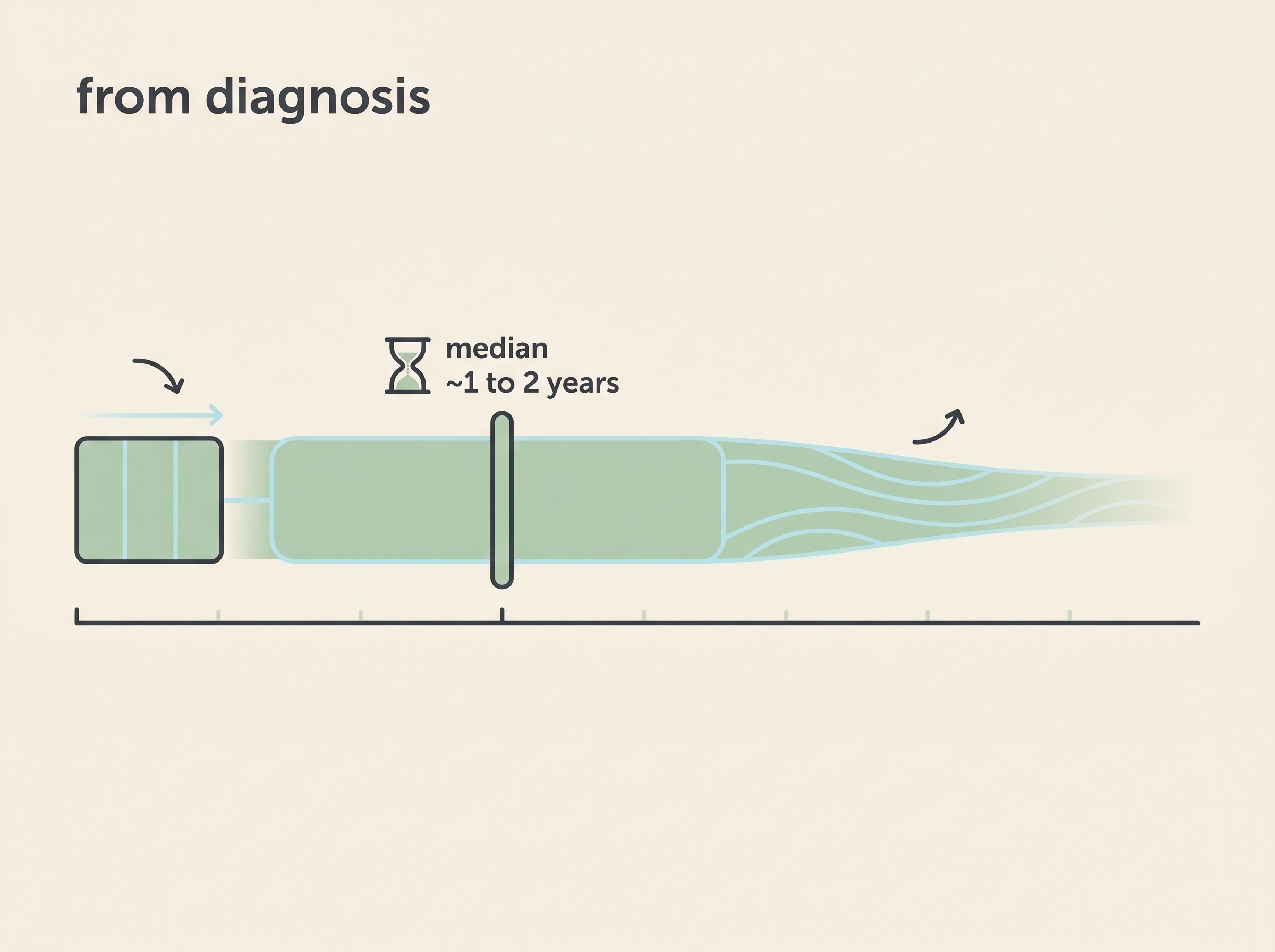 A simple flat-vector timeline on a cream background showing a wide survival range from diagnosis, with a marked median around eighteen months and a long tail extending much further, illustrating how variable the outlook is