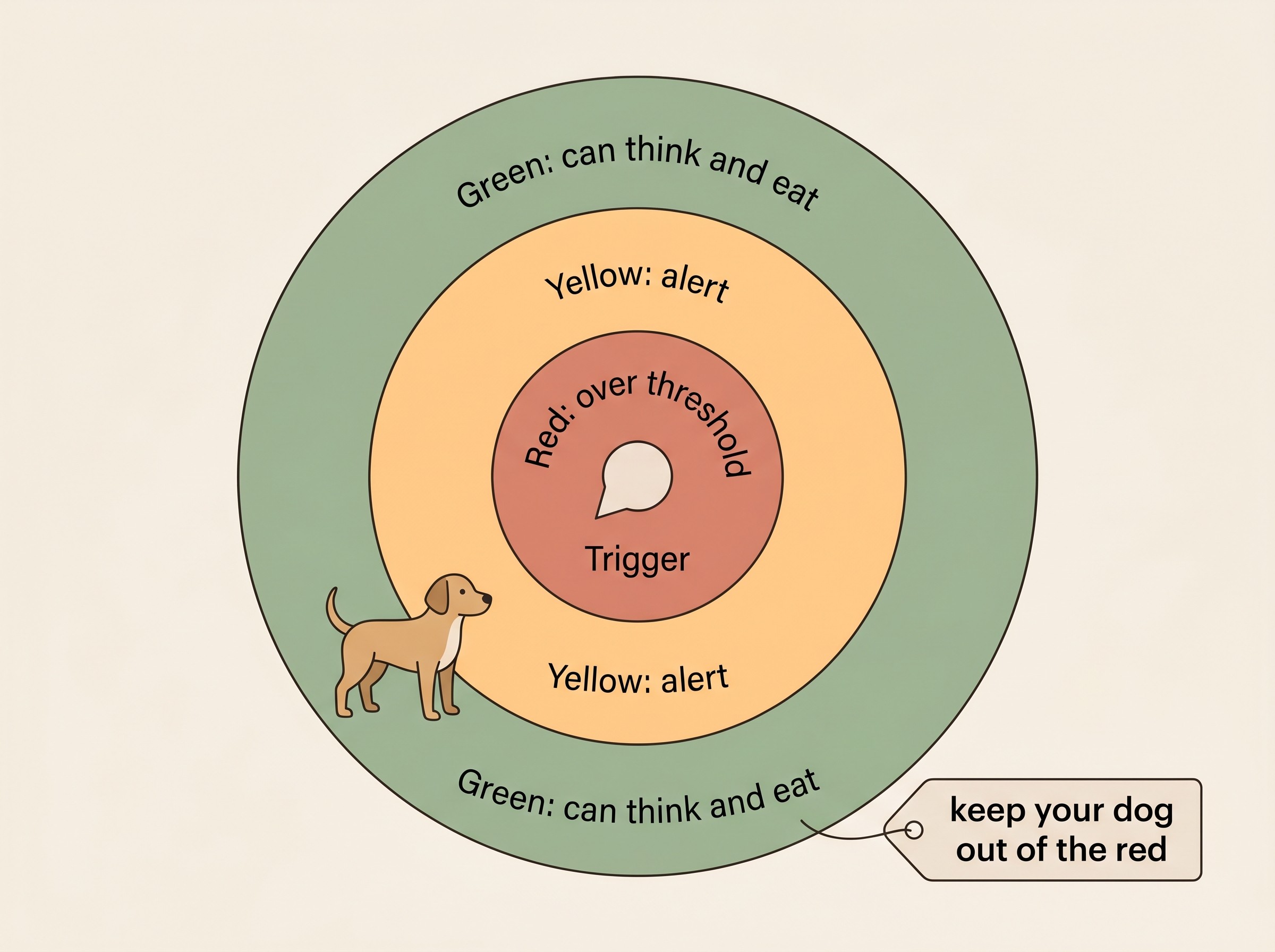A diagram of a reactive dog's threshold distance, showing a calm green zone where the dog can think and eat, a yellow alert zone, and a red over-threshold zone where the dog reacts
