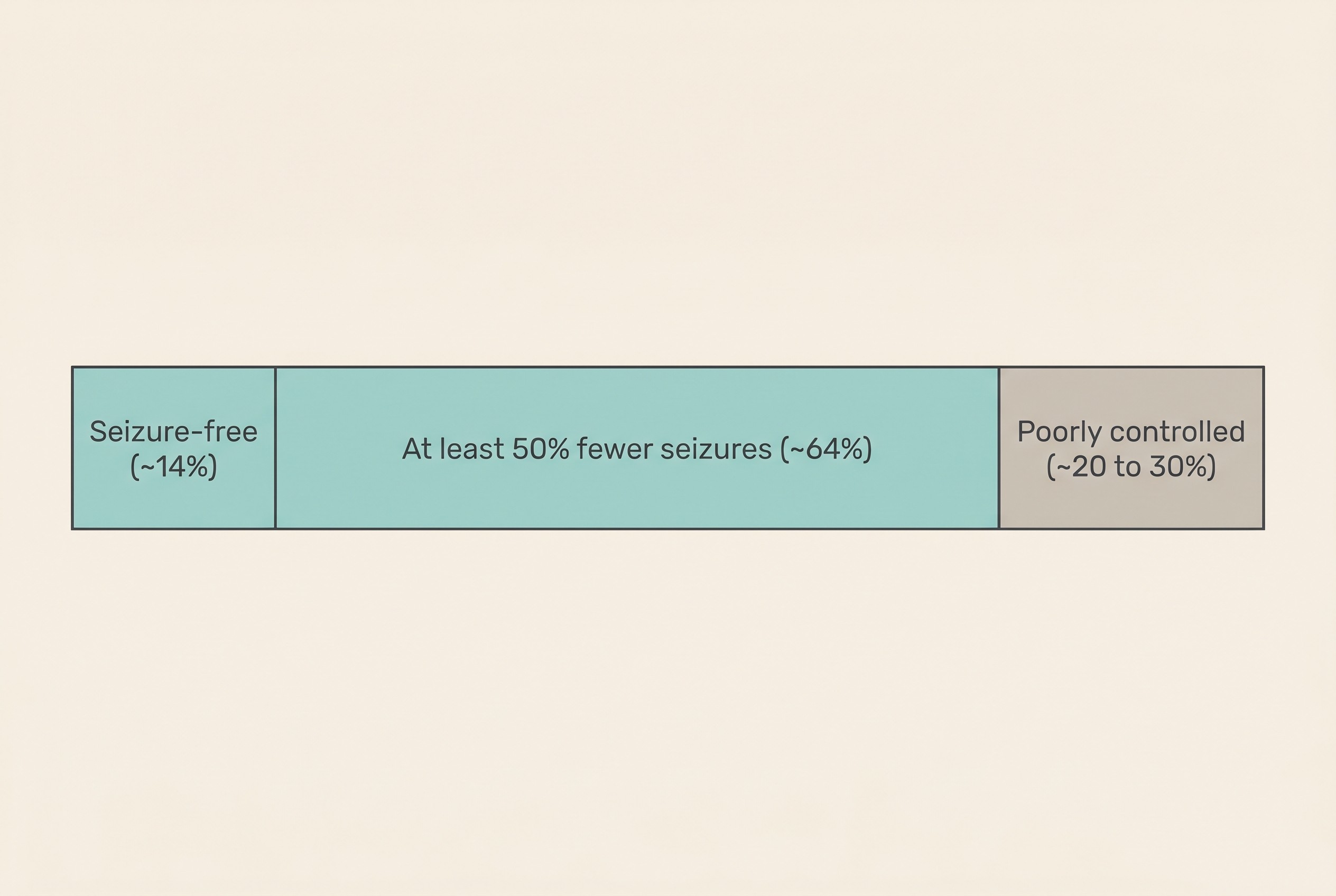 Flat illustration on a cream background: a proportional bar of treated dogs with idiopathic epilepsy, one small segment labelled "Seizure-free (~14%)", a large segment labelled "At least 50% fewer seizures (~64%)", and a segment labelled "Poorly controlled (~20 to 30%)", soft charcoal and teal palette