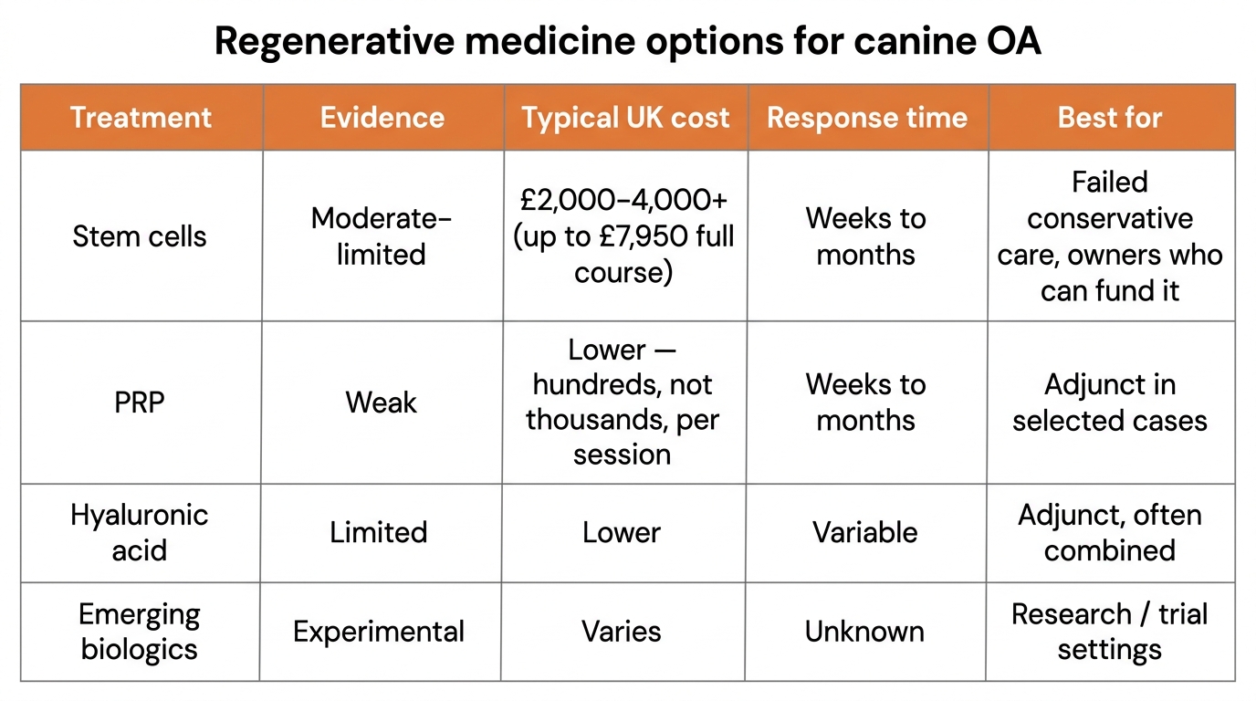 A comparison infographic titled Regenerative medicine options for canine OA, with rows for stem cells, PRP, hyaluronic acid and emerging biologics, and columns for evidence strength, UK cost range, typical response timeframe and best suited for