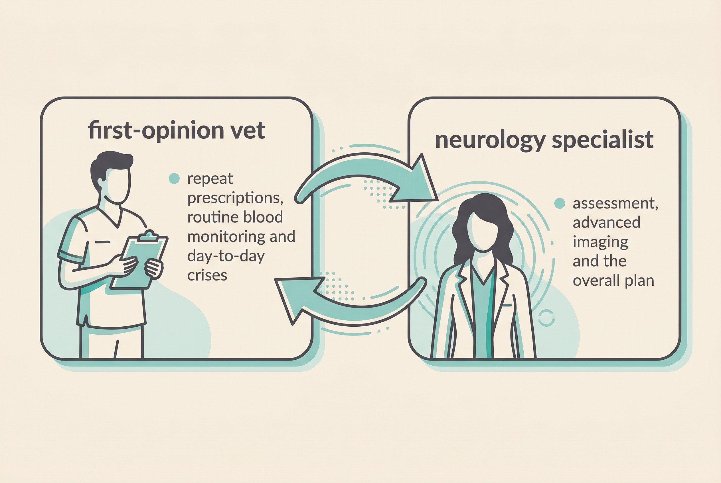 A simple two-sided diagram showing shared care in epilepsy: the first-opinion vet handles repeat prescriptions, routine blood monitoring and day-to-day crises, while the neurology specialist handles assessment, advanced imaging and the overall plan, with arrows showing information flowing both ways between them