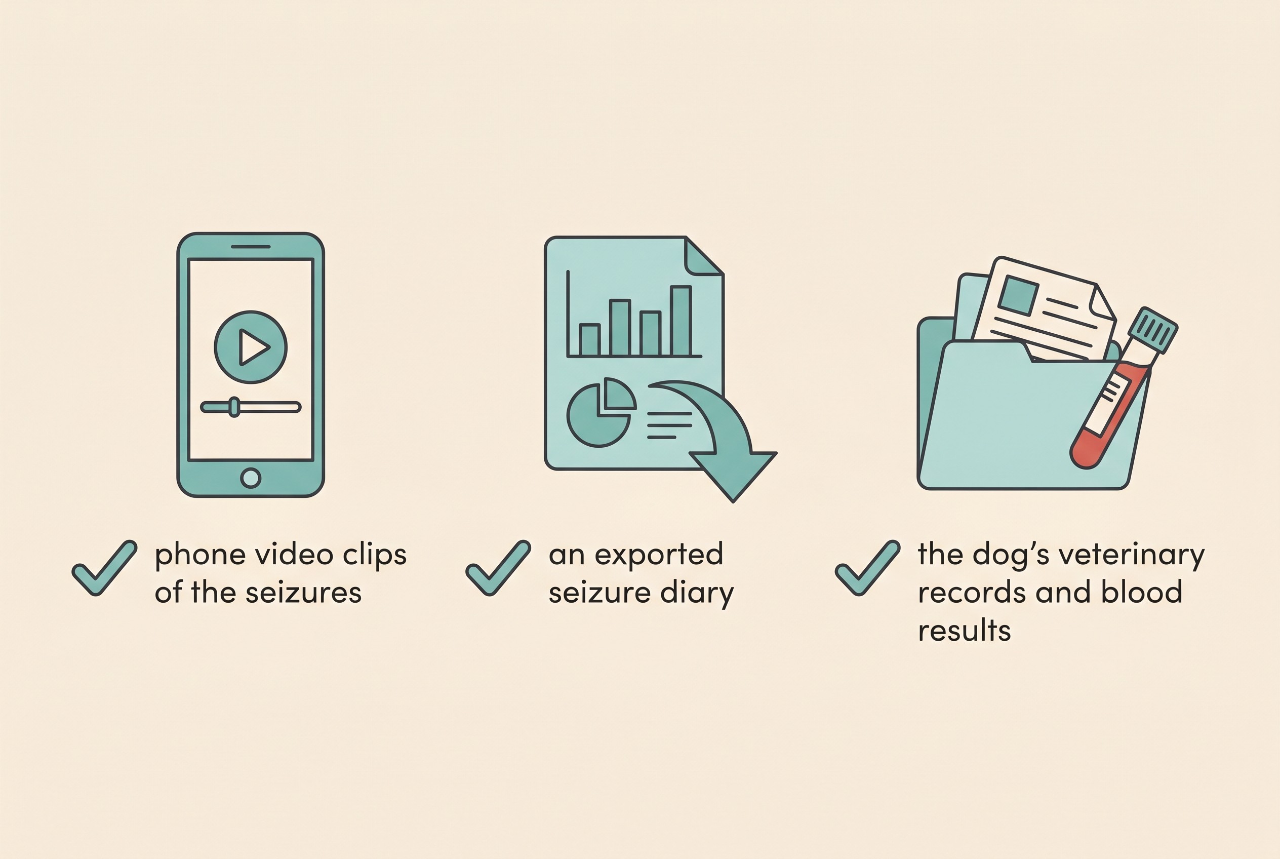 A checklist graphic showing the three things to bring to a neurology appointment: phone video clips of the seizures, an exported seizure diary, and the dog's veterinary records and blood results, drawn as flat icons on a cream background