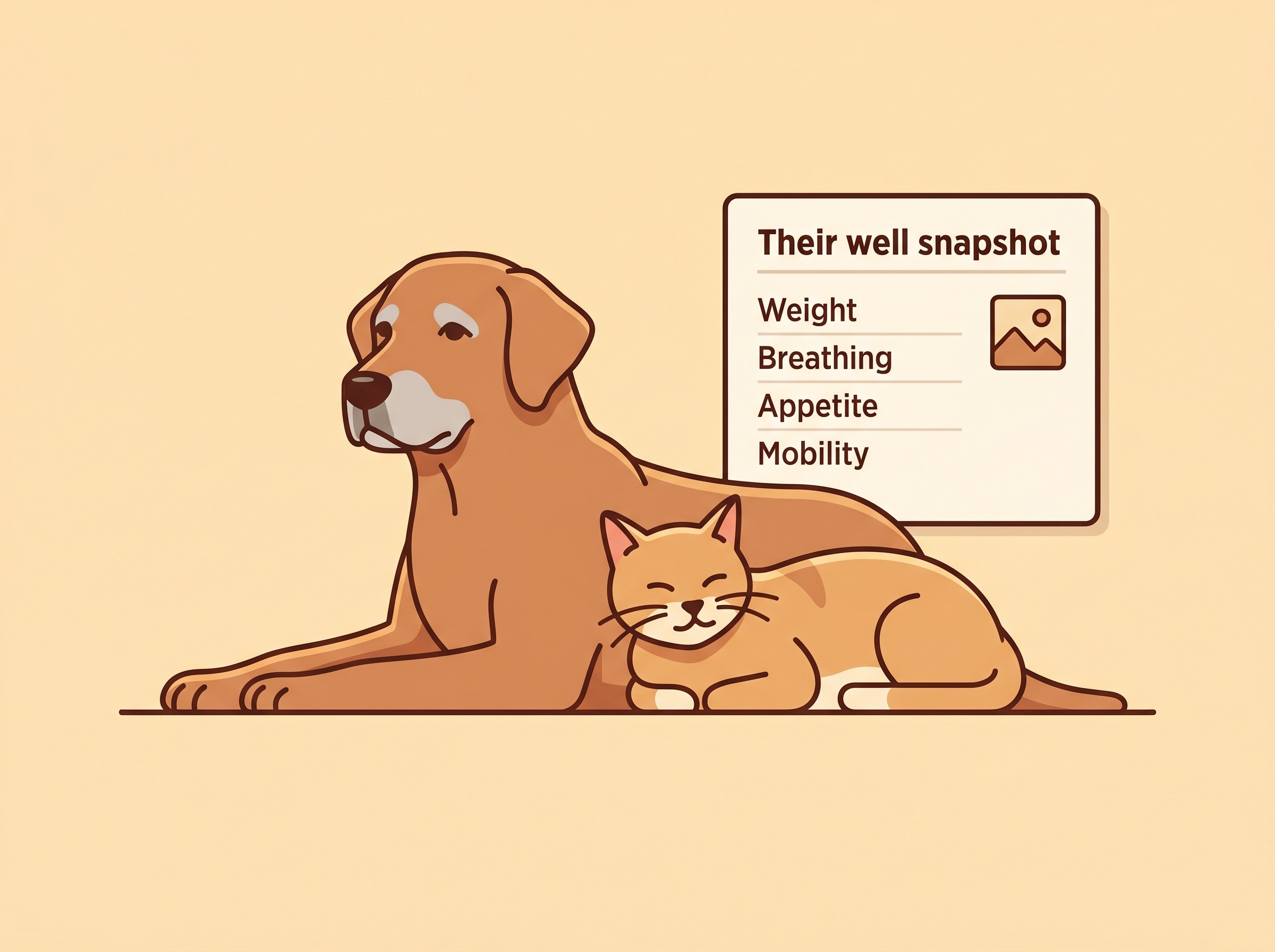 A calm older dog and an older cat resting in warm light, beside a simple panel headed "their well snapshot" listing weight, breathing, appetite, mobility and a photo.