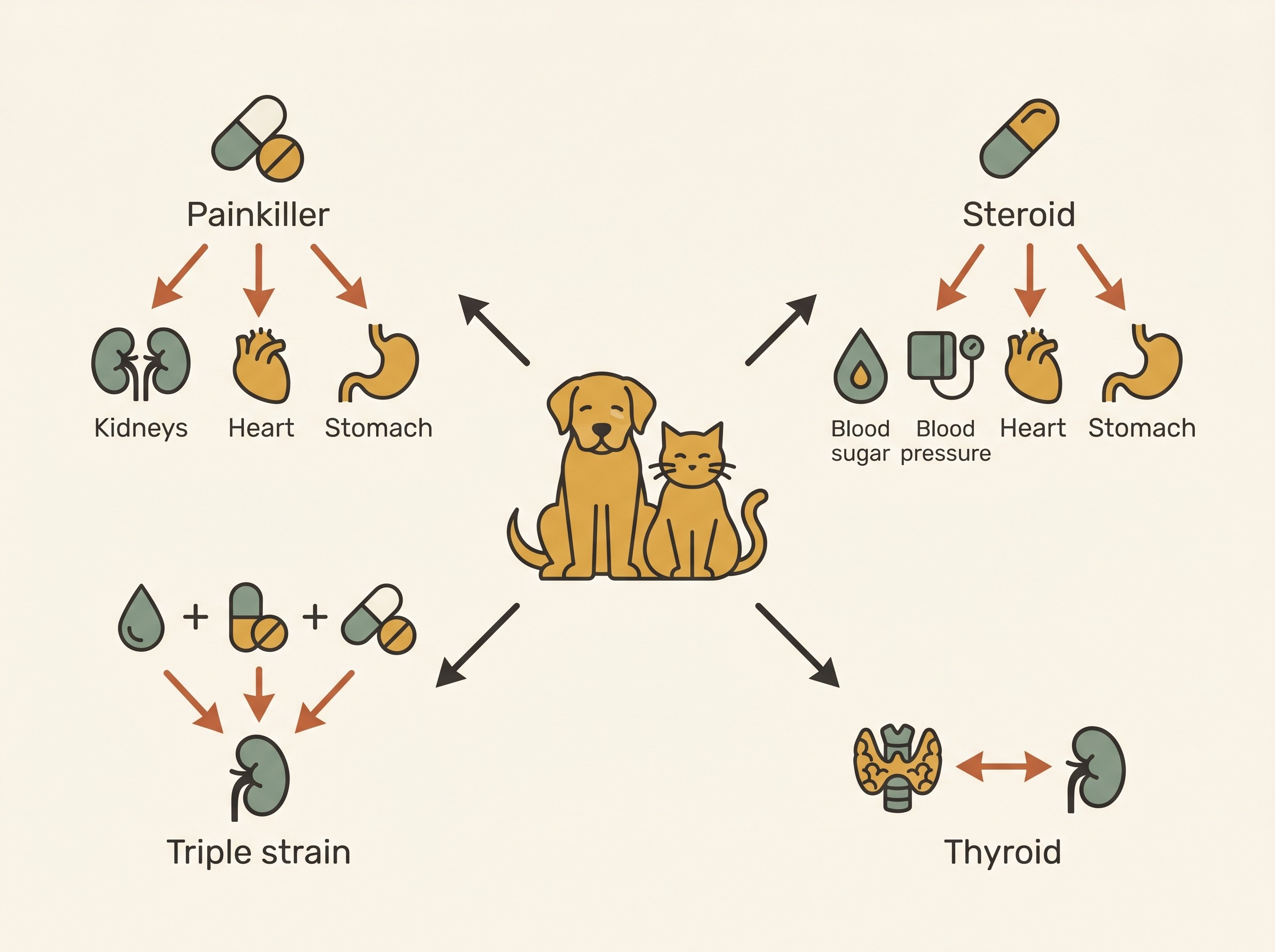 A simple "treatment tug-of-war" map. In the centre, an older dog and cat. Arrows show common senior medicines pulling against the conditions they can aggravate: an anti-inflammatory painkiller pulling against the kidneys, the heart and the stomach; a steroid pulling against diabetes, blood pressure, the heart and the stomach; a water tablet plus a heart drug plus a painkiller forming a three-way strain on the kidneys; and treating an overactive thyroid pulling on the kidneys. Each pairing is labelled in plain words.
