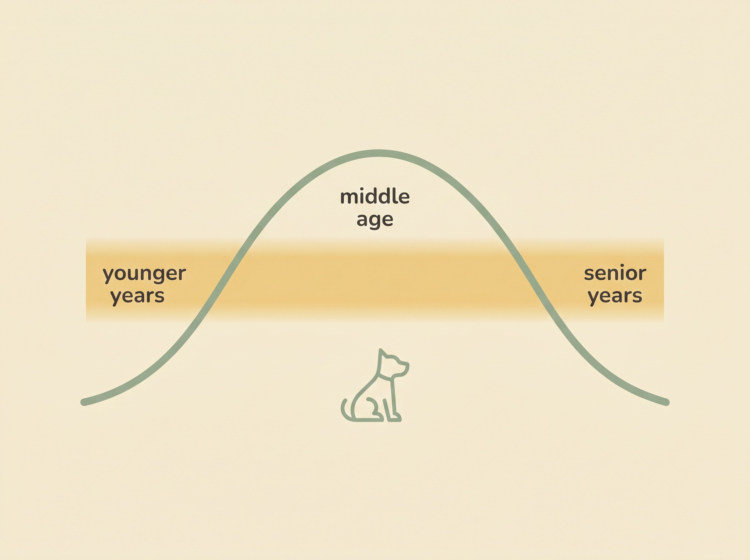 A gentle U-shaped curve showing a pet's body condition over life, labelled "younger years: watch for too much" rising to a peak in middle age, then "senior years: watch for the slide" descending, with an ideal band shaded across the middle.