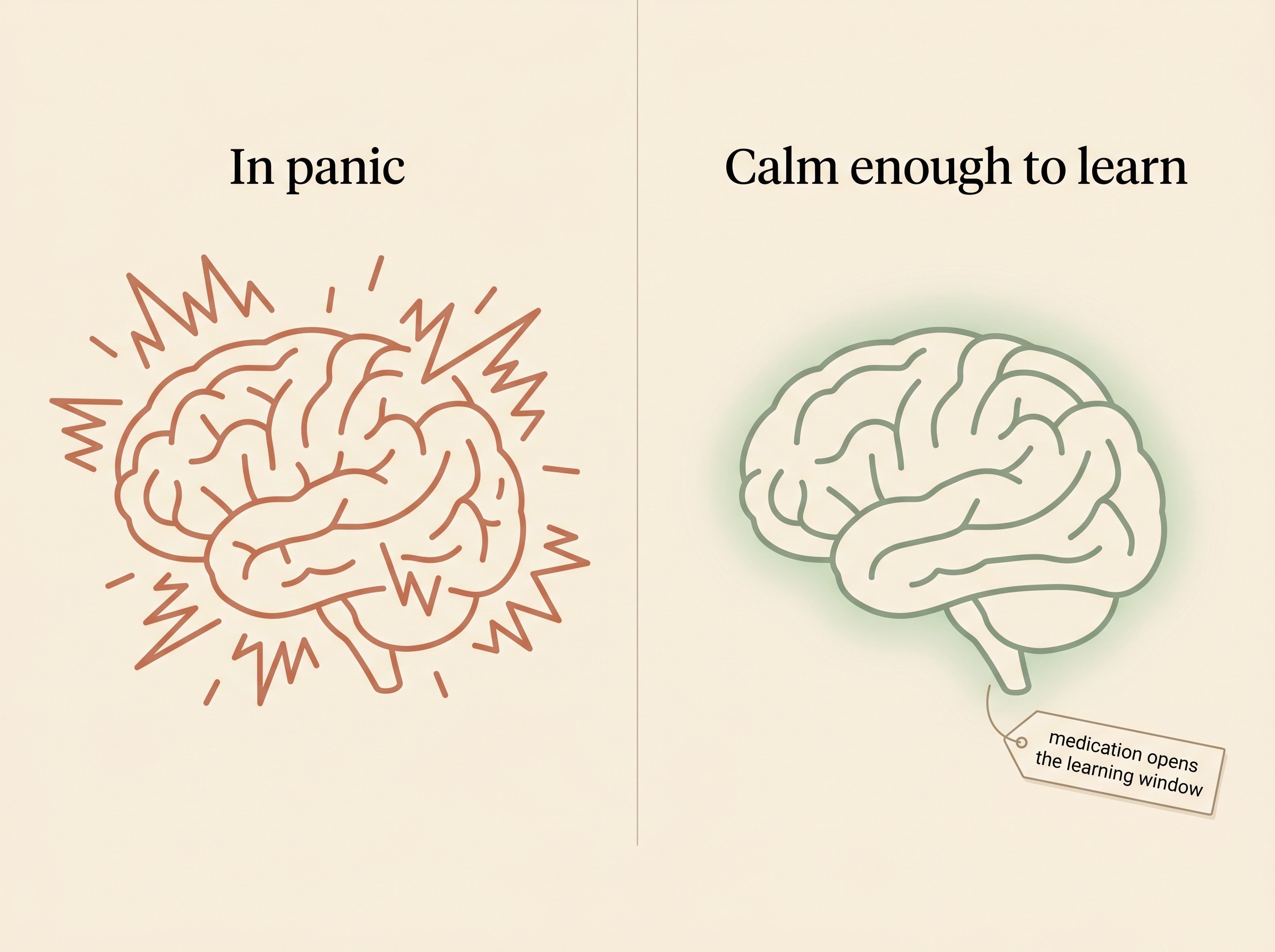 A simple two-panel illustration contrasting a brain in panic with a calmer brain that can learn