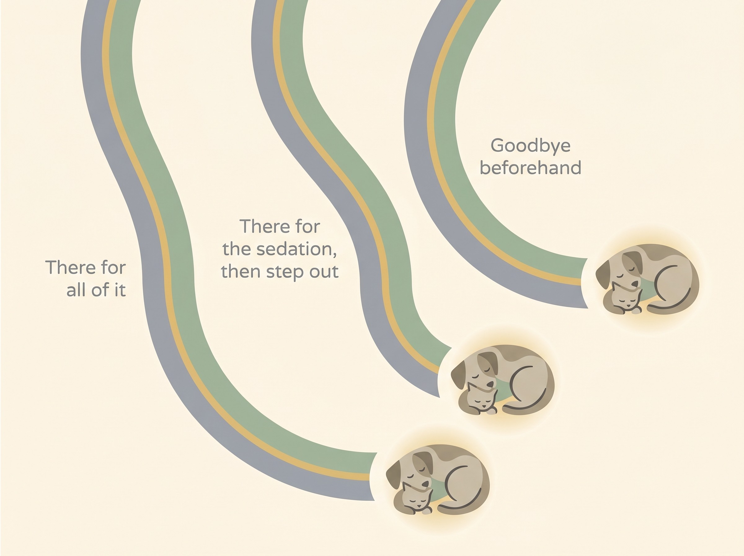 A soft, non-graphic figure on a warm cream field showing three gentle paths labelled "There for all of it", "There for the sedation, then step out", and "Goodbye beforehand", each ending in the same small image of a sleeping pet, conveying that all three lead to the same peaceful goodbye