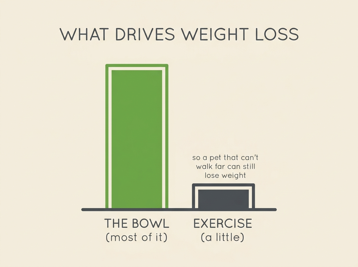 Flat vector two-bar comparison titled “WHAT DRIVES WEIGHT LOSS”, a tall leaf-green bar reading “THE BOWL (most of it)” beside a short charcoal bar reading “EXERCISE (a little)”, with an aside “so a pet that can’t walk far can still lose weight”