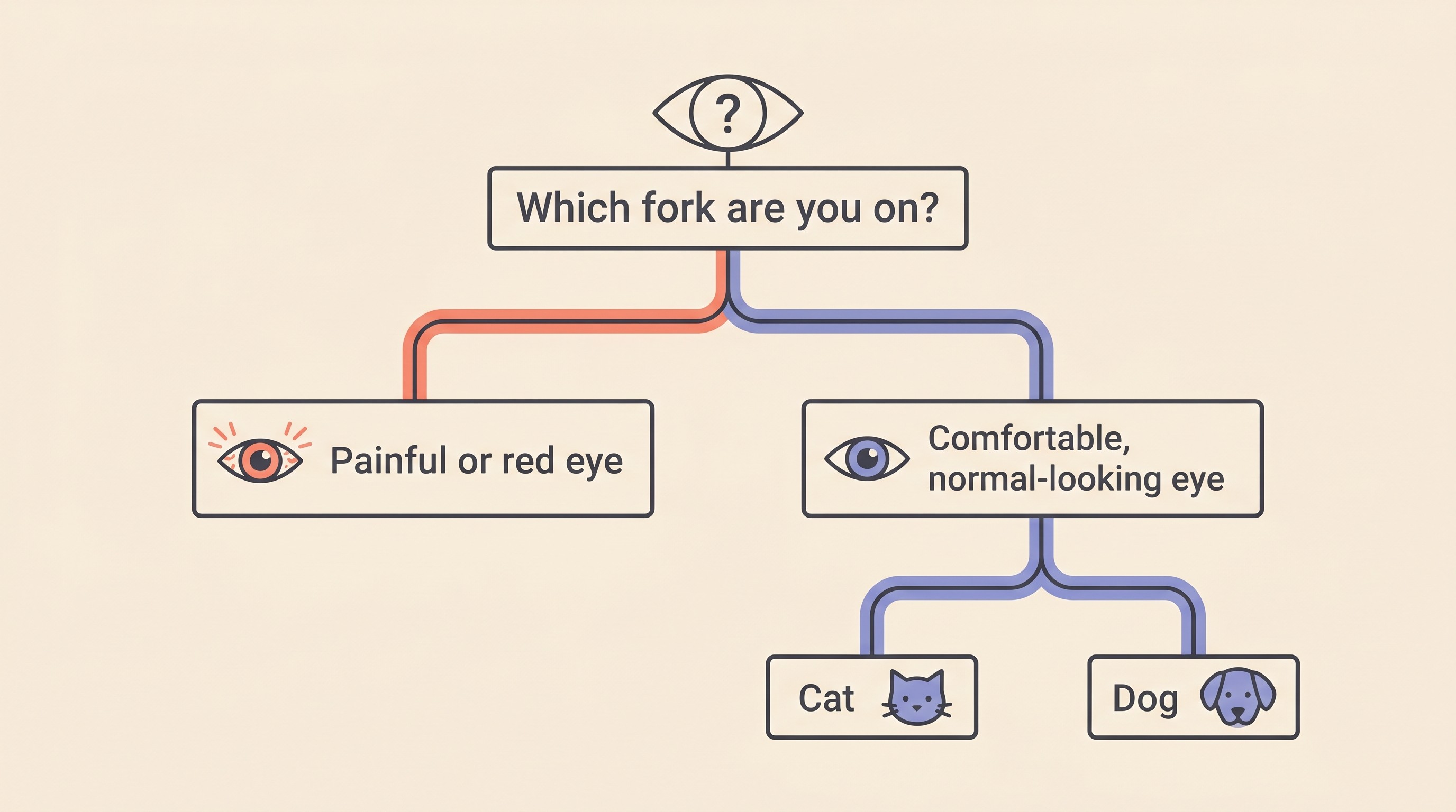 Flat vector decision card on cream titled “Which fork are you on?” showing a sudden-blindness sign branching into a painful or red eye route and a comfortable, normal-looking eye route, the latter splitting again into a cat path and a dog path