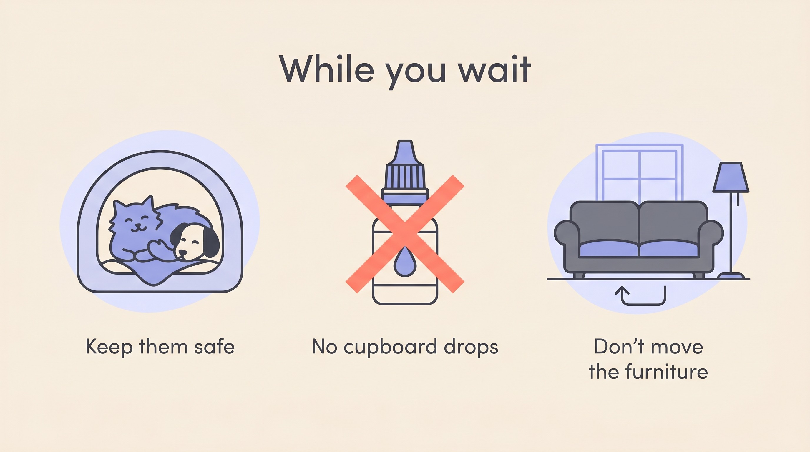 Flat vector card on cream headed “While you wait” with three labelled line icons: a pet in a cosy confined space reading “Keep them safe”, a crossed-out eye-drop bottle reading “No cupboard drops”, and an unchanged room with a sofa reading “Don’t move the furniture”