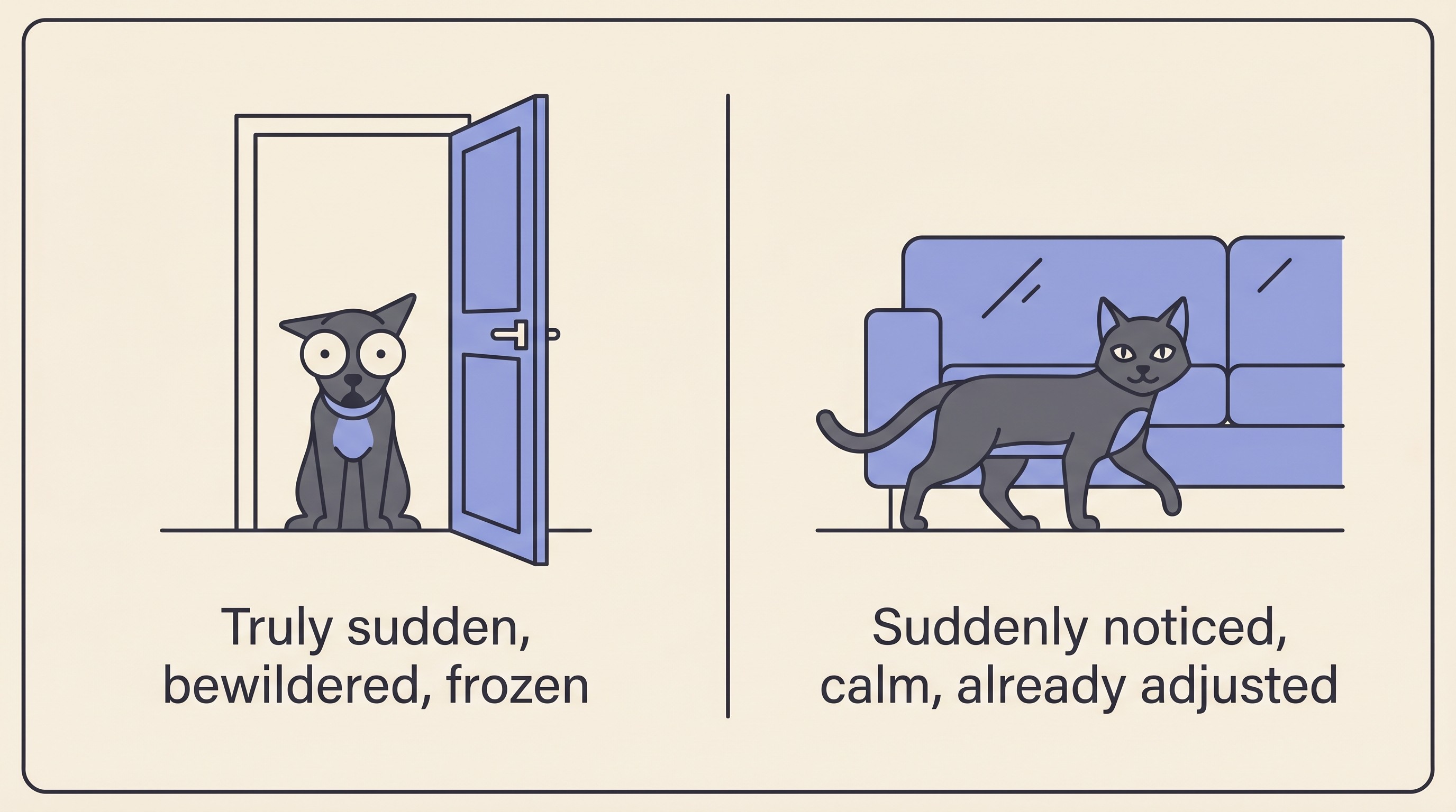 Side-by-side flat illustration on cream. Left: a wide-eyed pet frozen in an open doorway, labelled truly sudden, bewildered, frozen, fearful. Right: a calm pet padding confidently past a sofa, labelled suddenly noticed, calm, already adjusted.